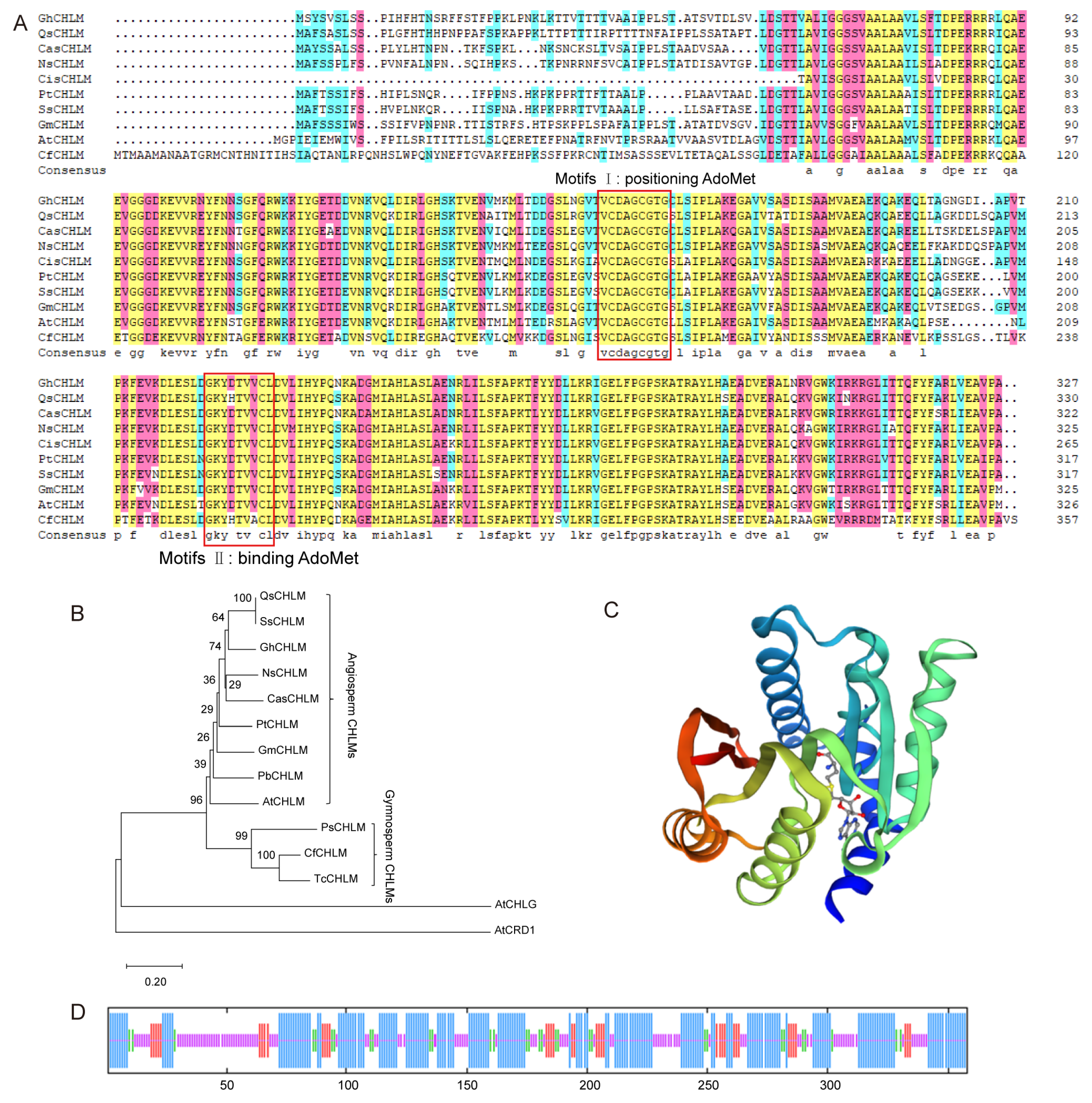 Forests 15 00628 g001