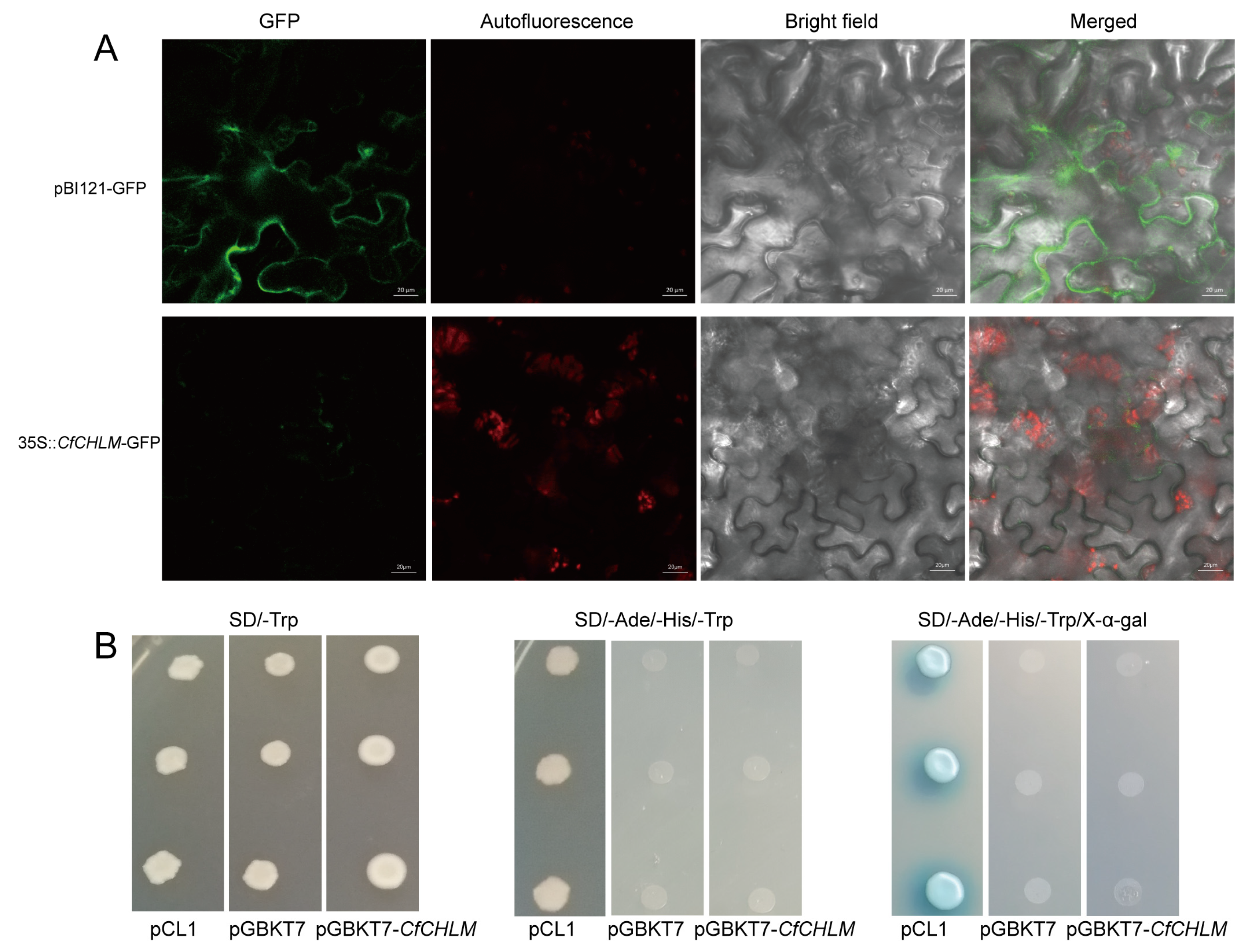 Forests 15 00628 g002