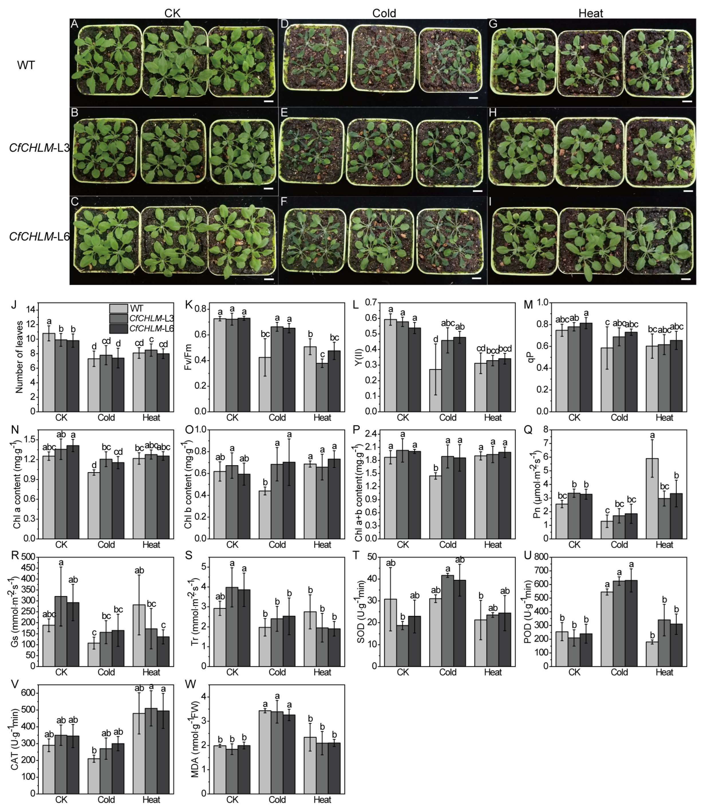 Forests 15 00628 g004