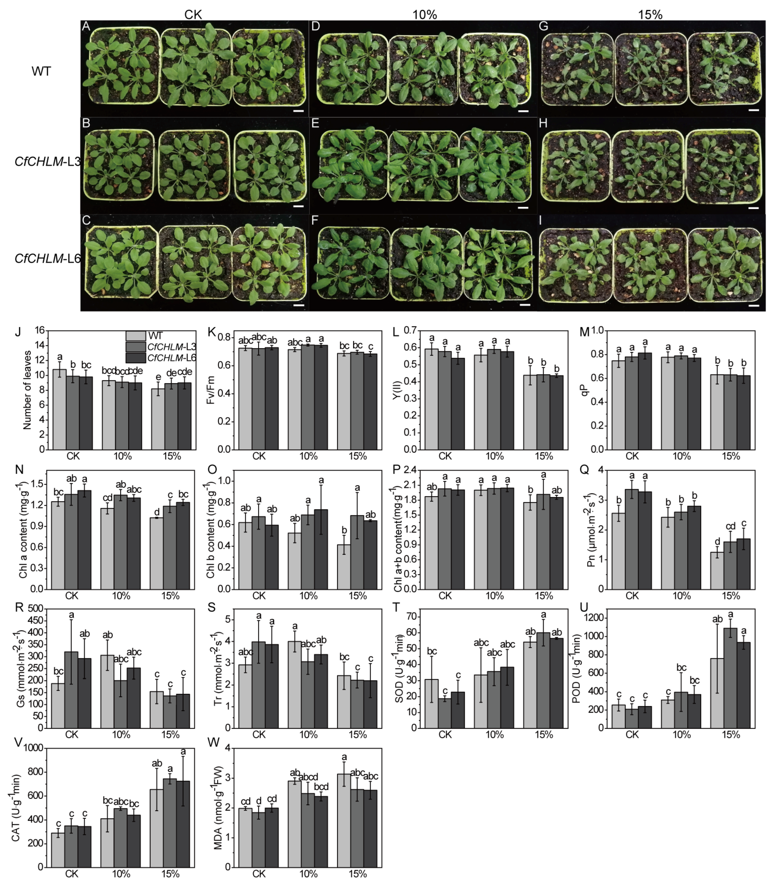 Forests 15 00628 g005