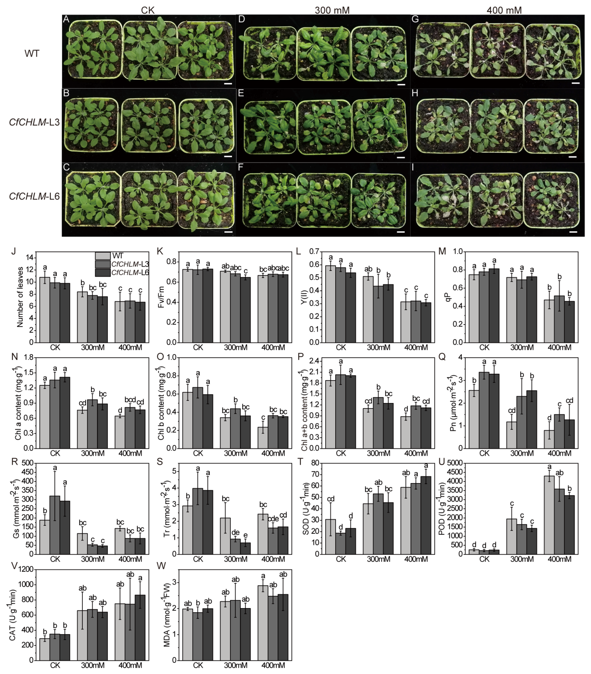 Forests 15 00628 g006