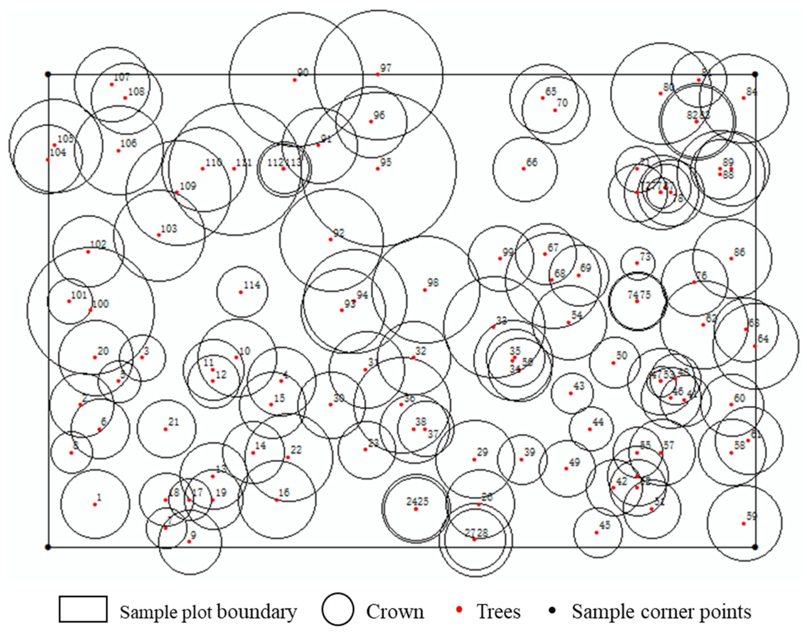 Forests 15 00633 g004