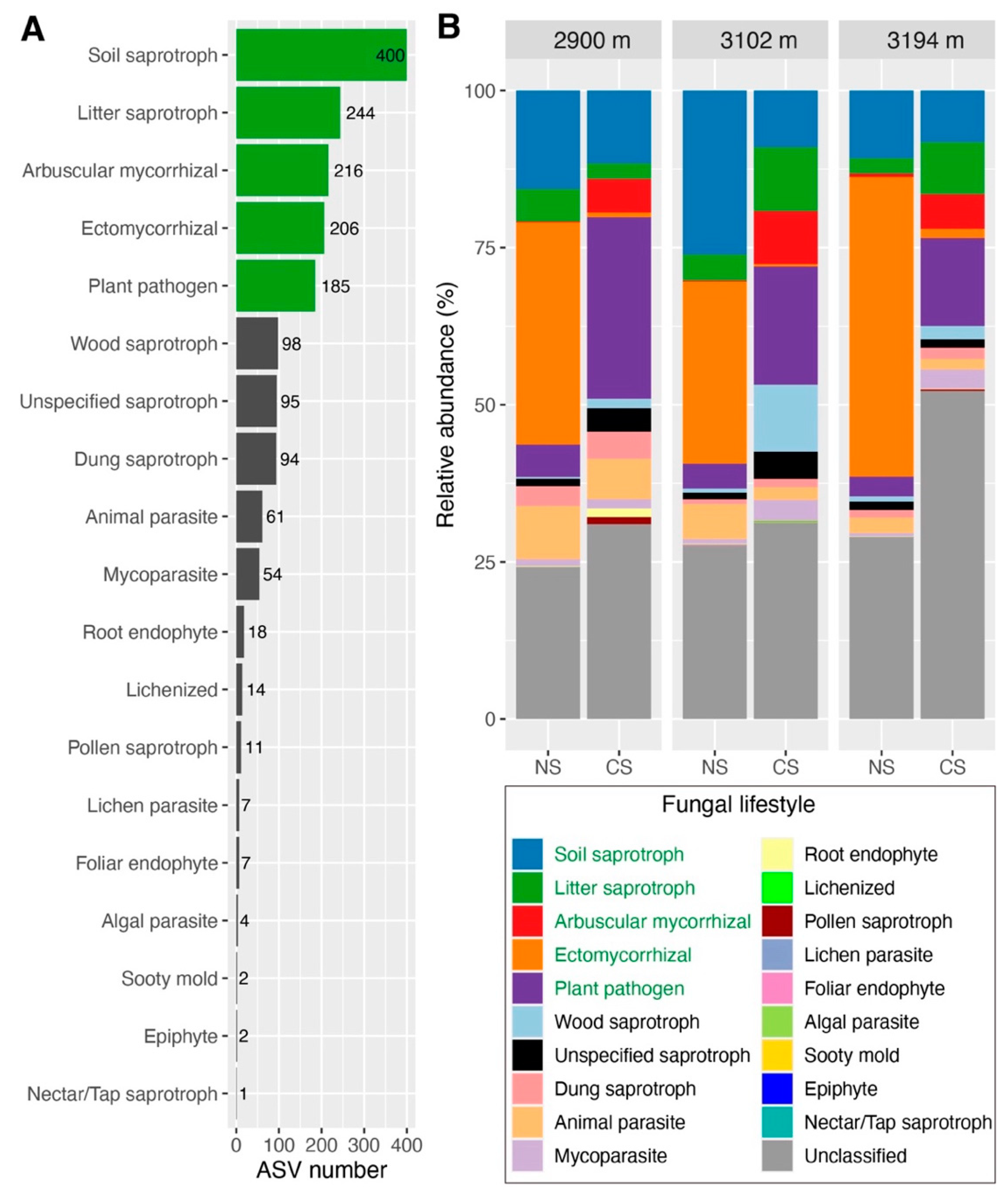 Forests 15 00636 g001