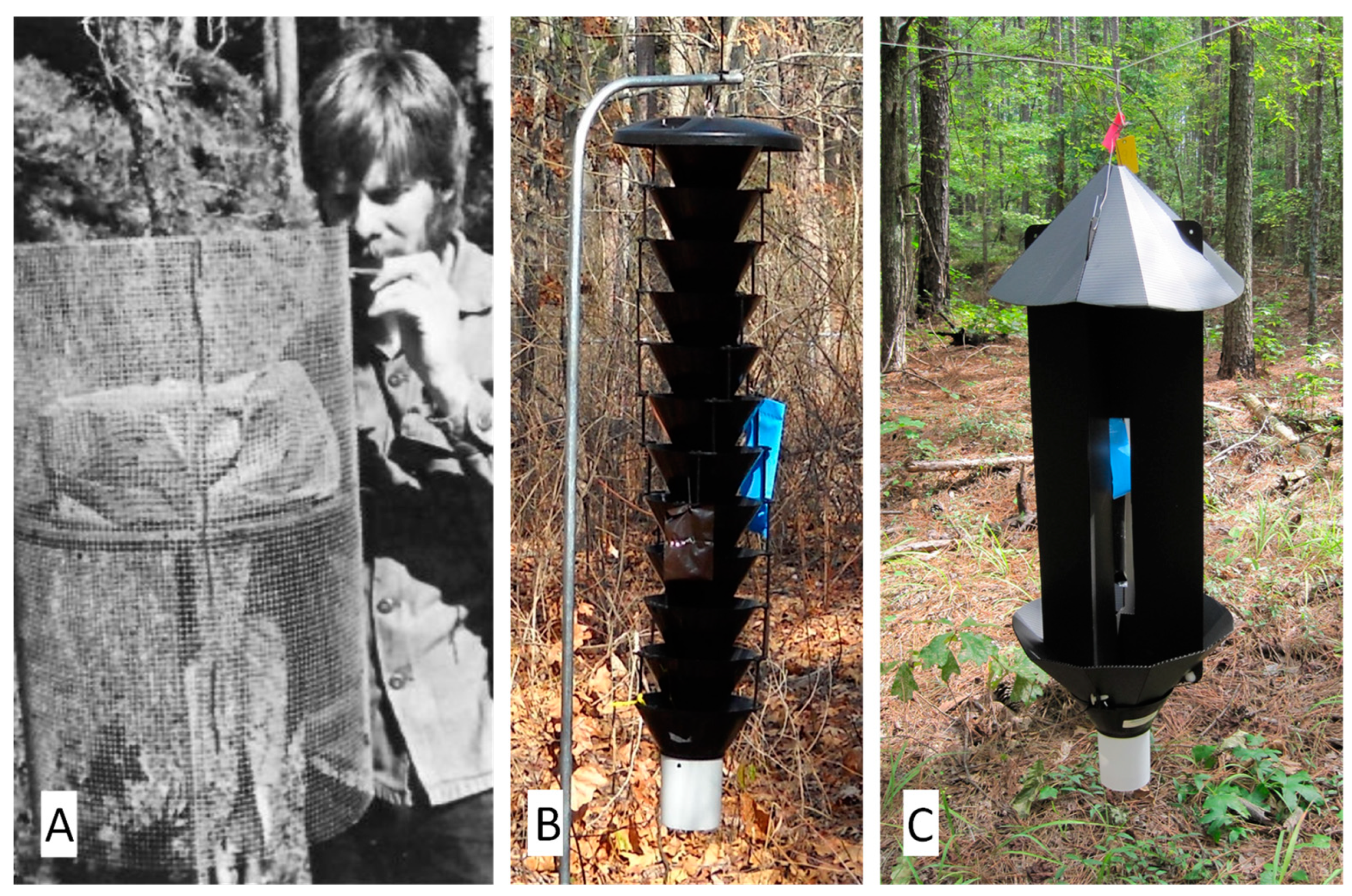 Forests 15 00642 g003