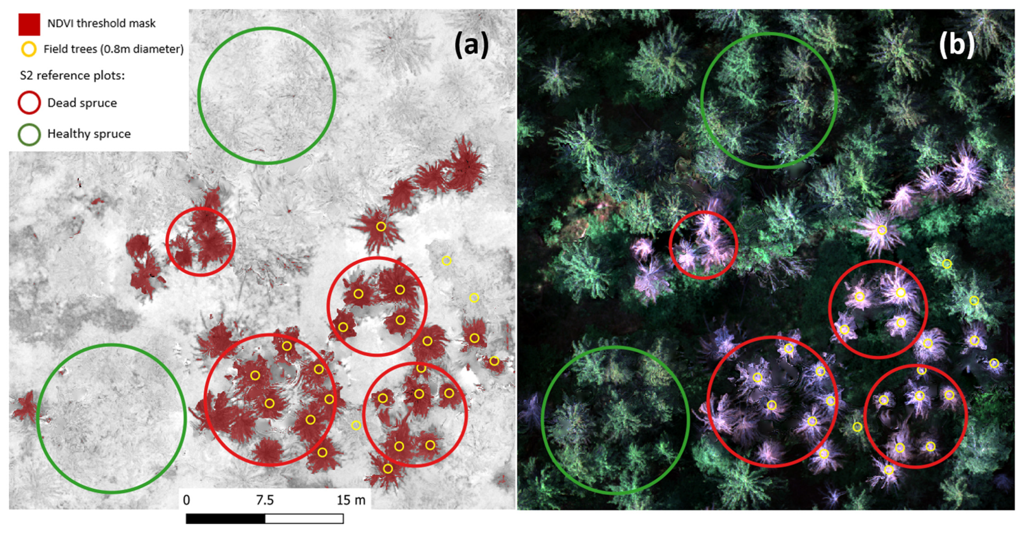 Forests 15 00644 g004
