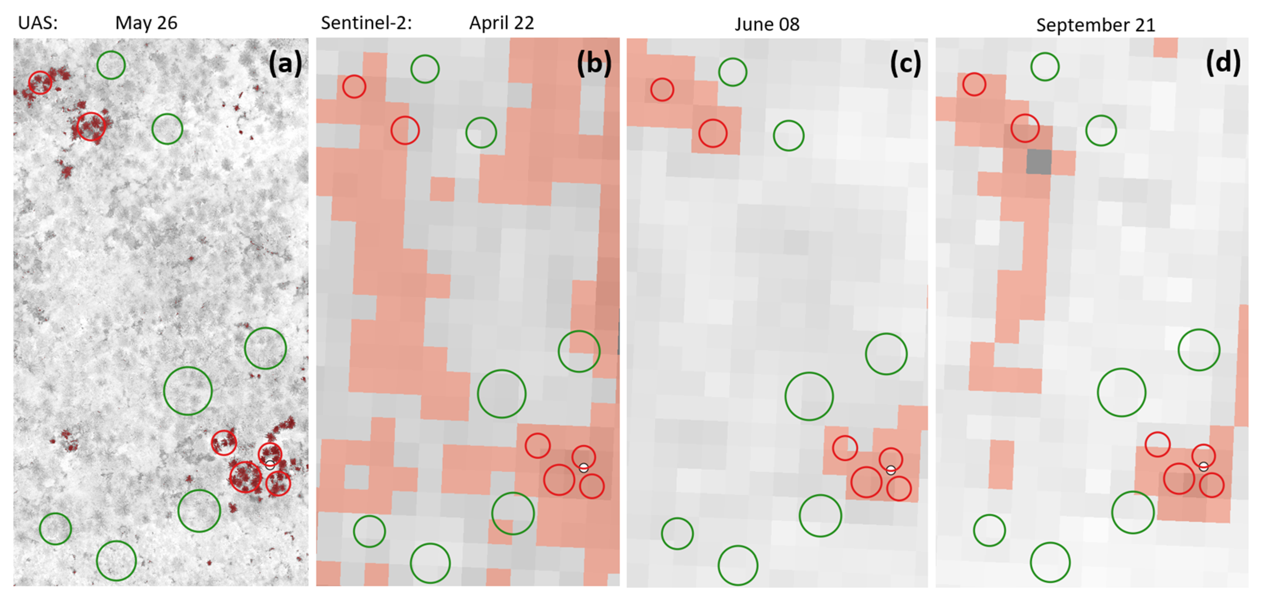 Forests 15 00644 g010