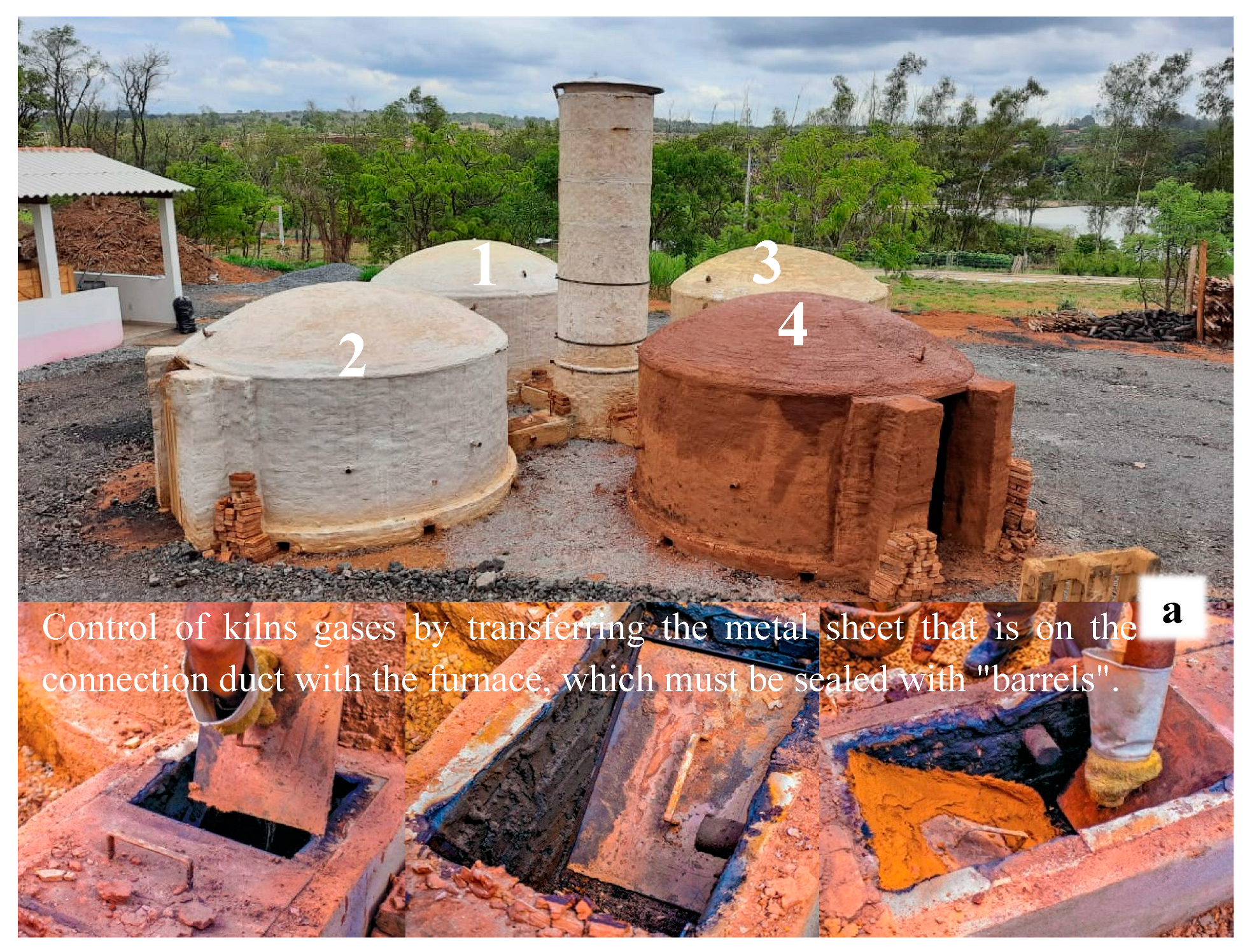 Forests 15 00645 g002a