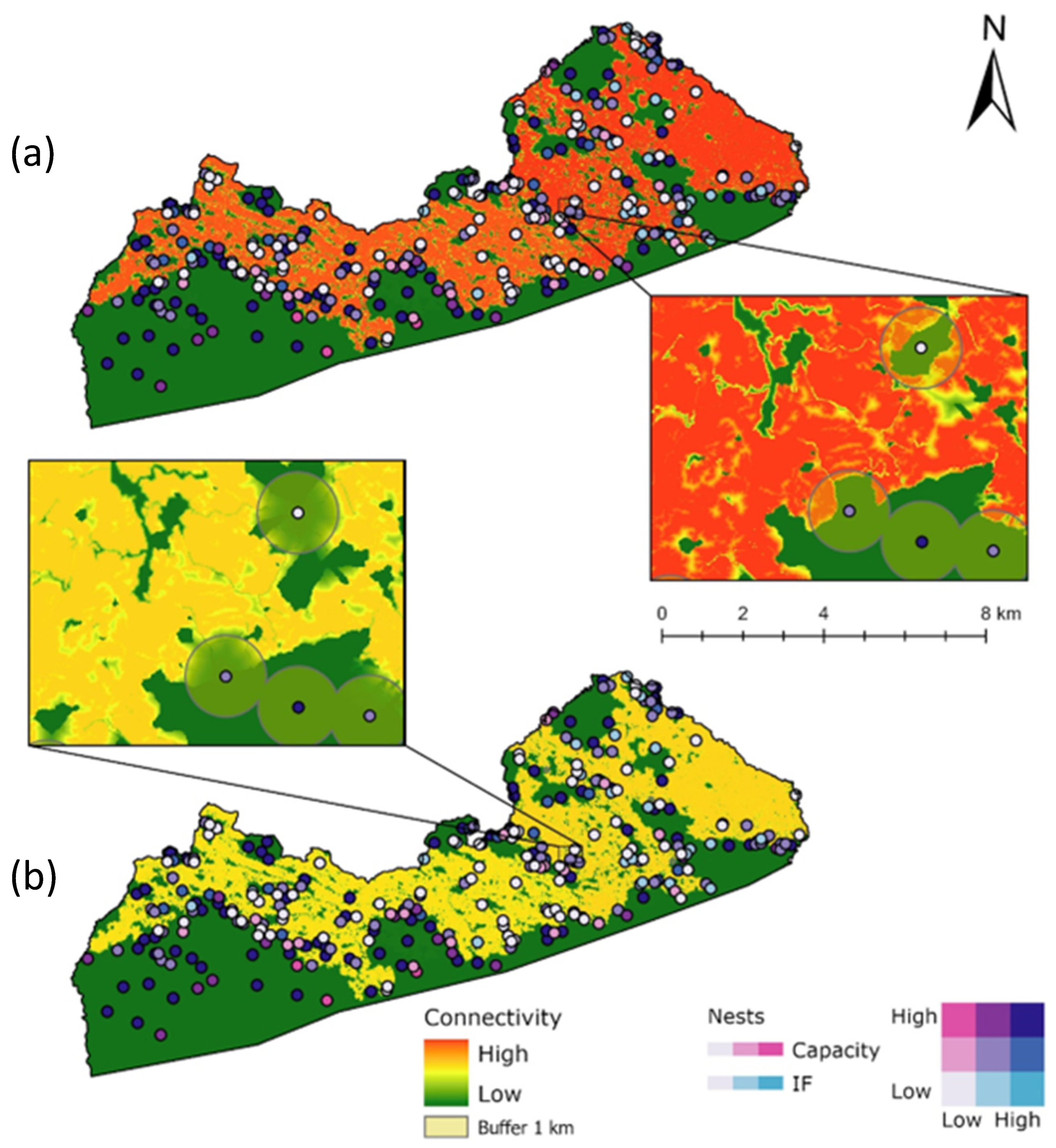 Forests 15 00648 g006