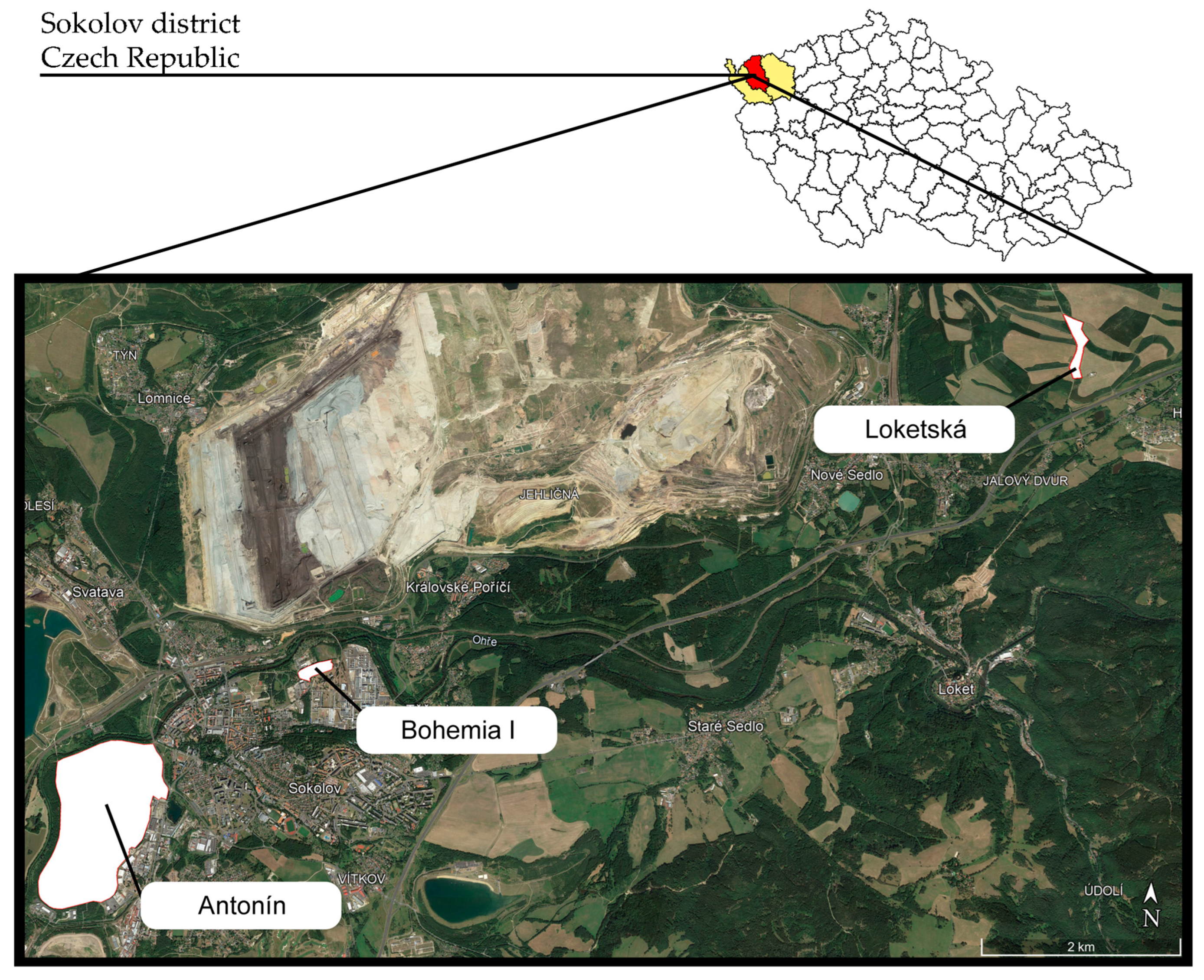 Forests 15 00650 g001
