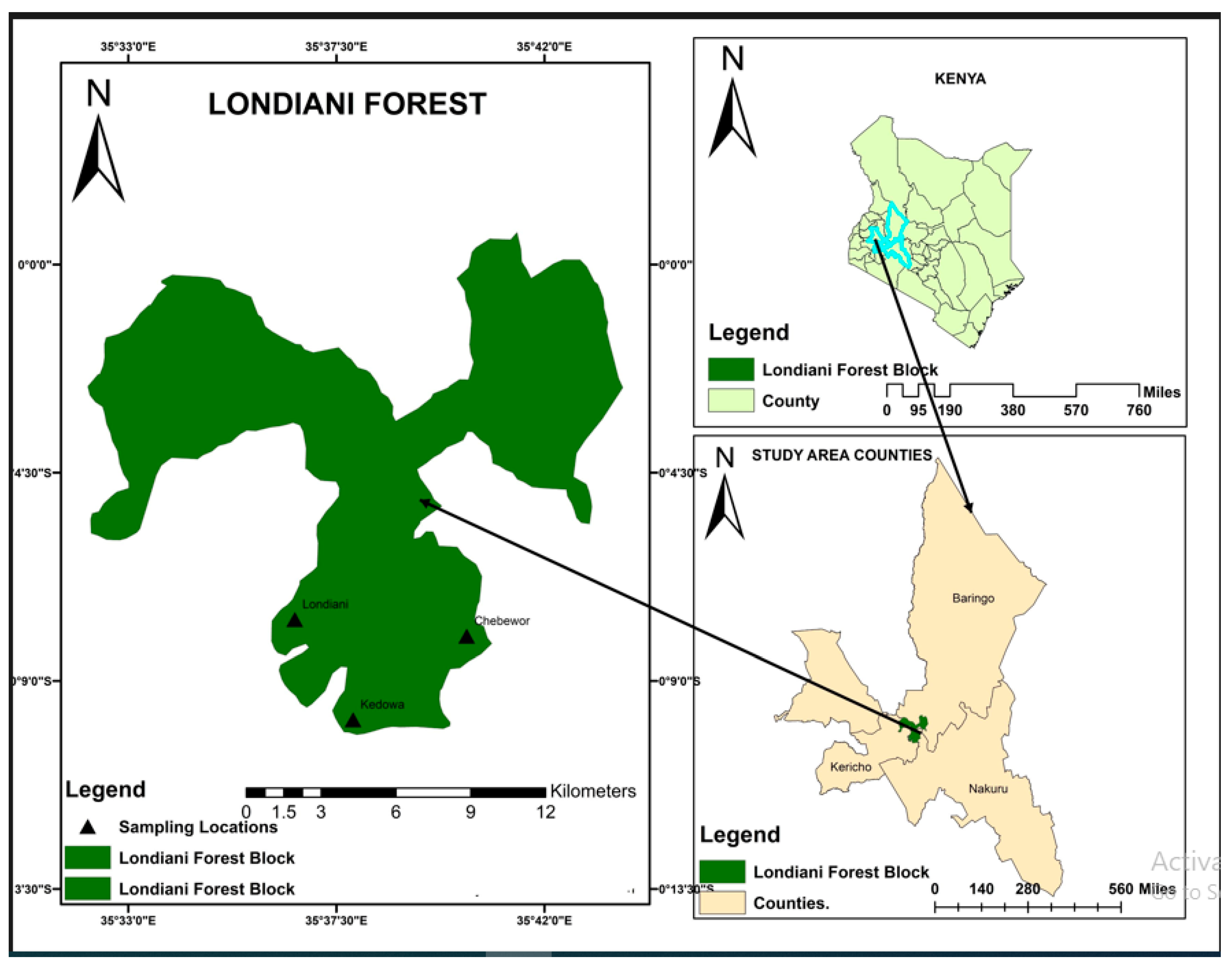 Forests 15 00653 g001 Forests 15 00653 g001