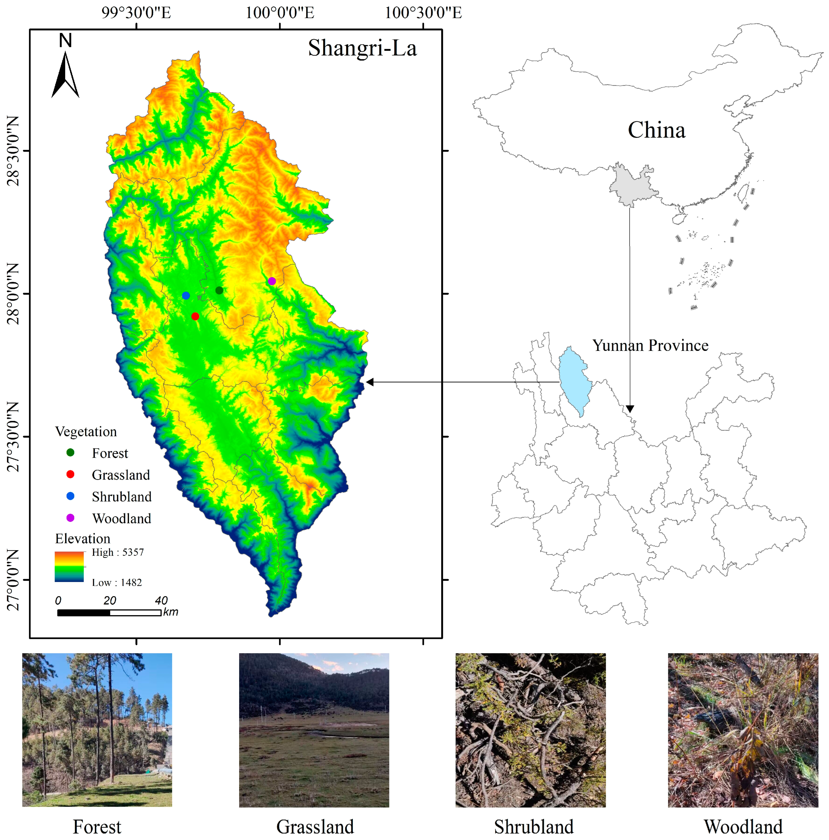 Forests 15 00656 g001 Forests 15 00656 g001