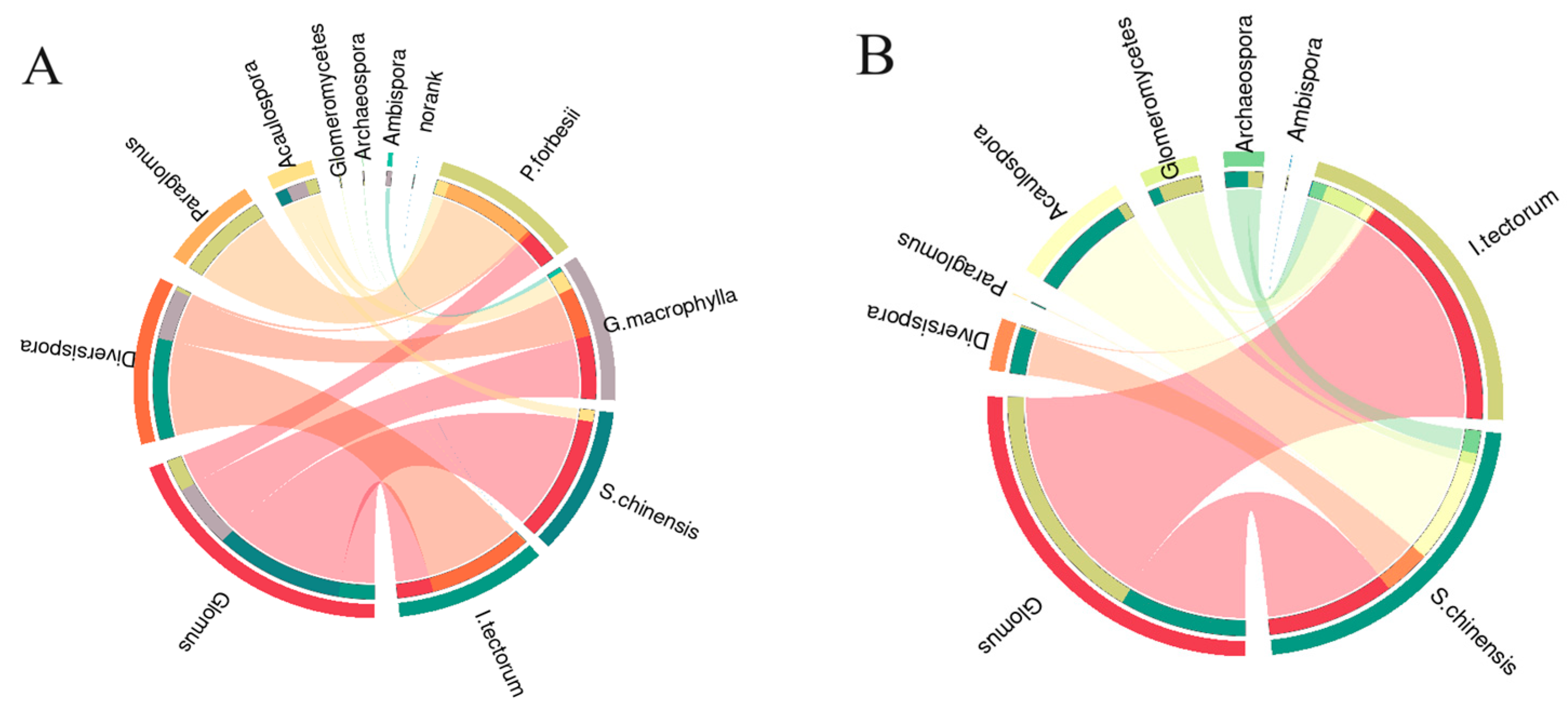 Forests 15 00656 g007a Forests 15 00656 g007a