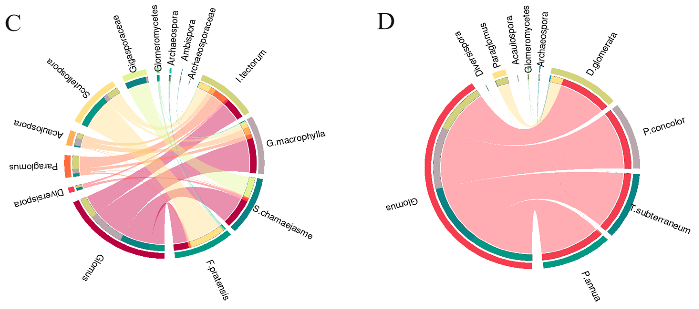 Forests 15 00656 g007b Forests 15 00656 g007b