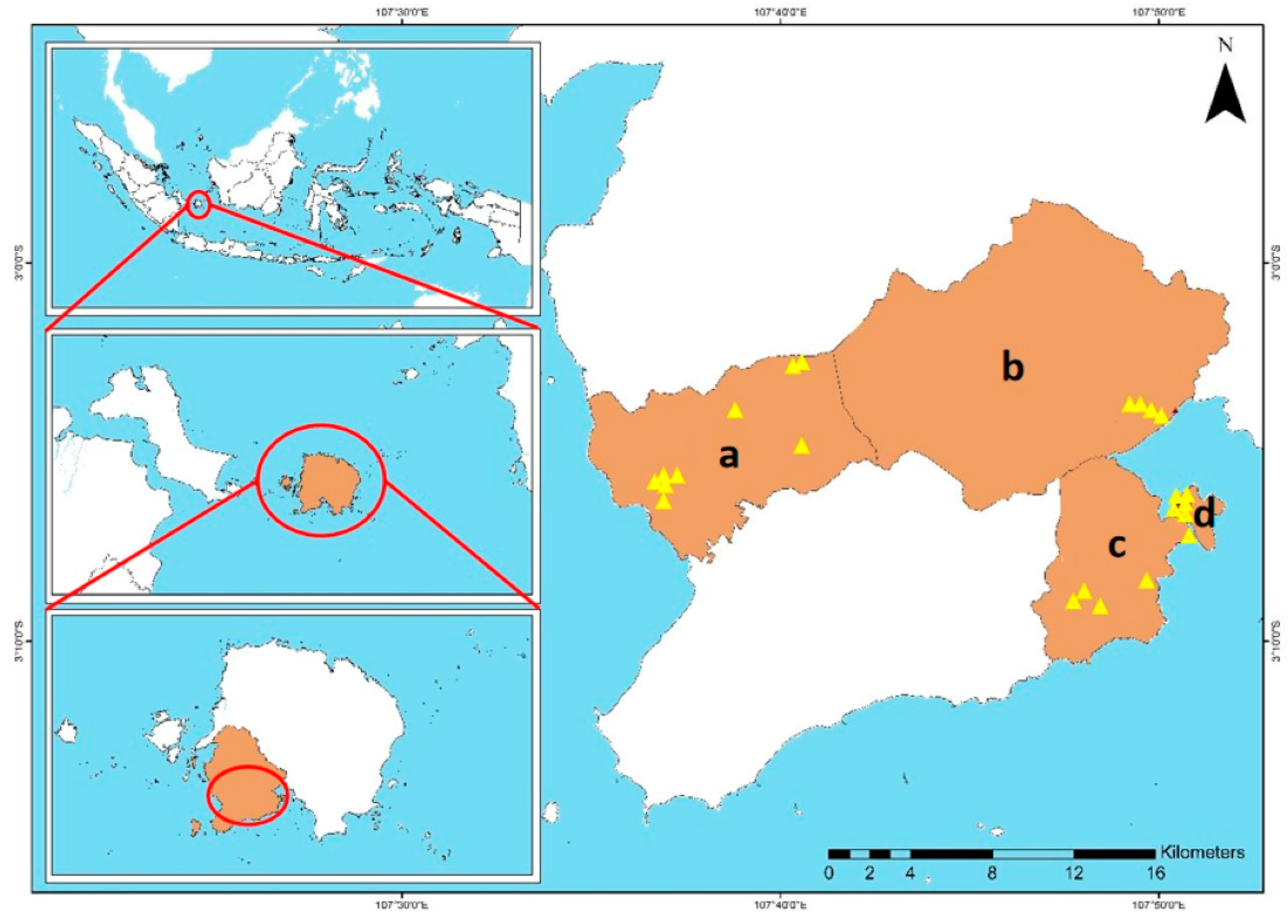 Forests 15 00657 g001