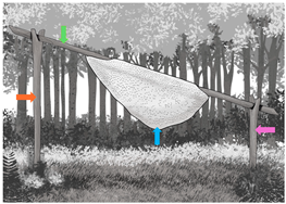 Forests 15 00657 i006