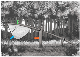 Forests 15 00657 i007