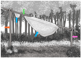 Forests 15 00657 i008