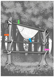 Forests 15 00657 i009