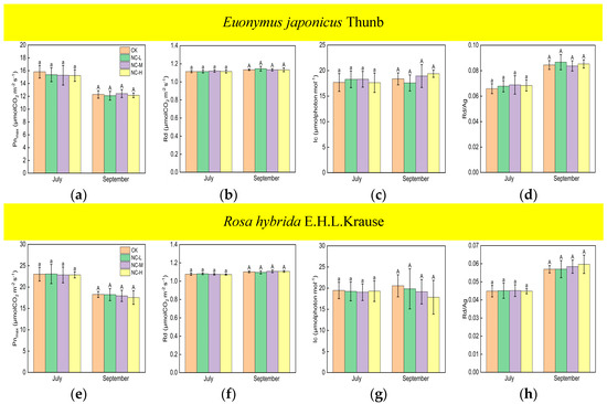 Effects of Artificial Light at Night on Photosynthesis and Respiration ...