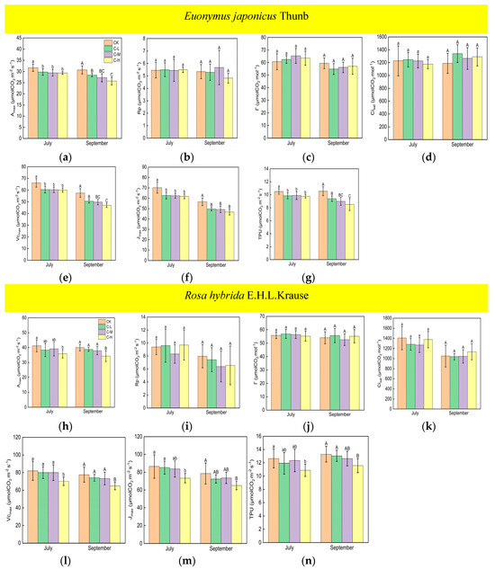 Effects of Artificial Light at Night on Photosynthesis and Respiration ...