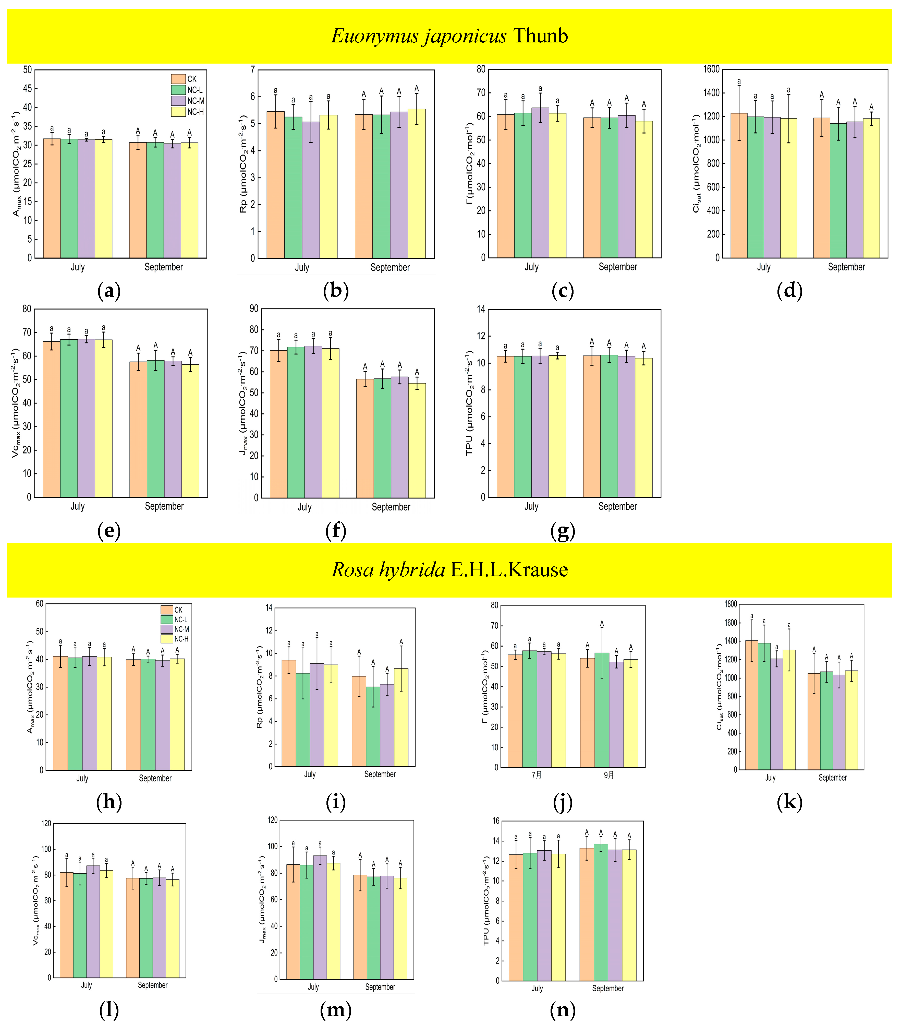 Forests 15 00659 g004