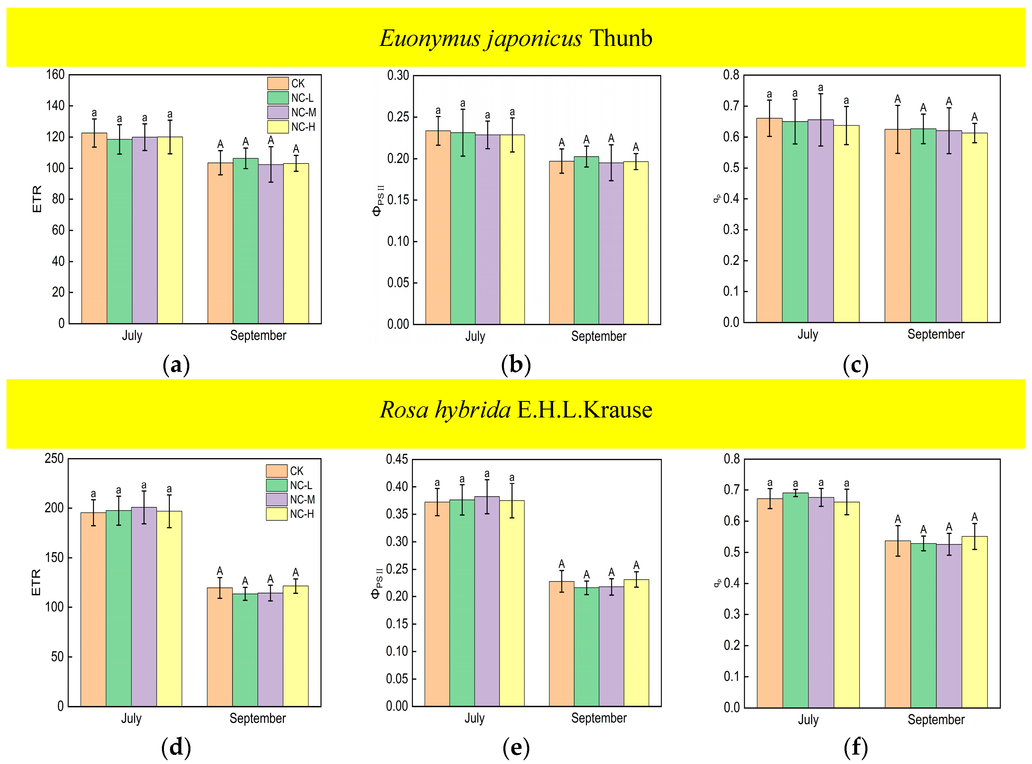 Forests 15 00659 g006