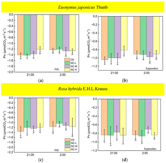 Effects of Artificial Light at Night on Photosynthesis and Respiration ...