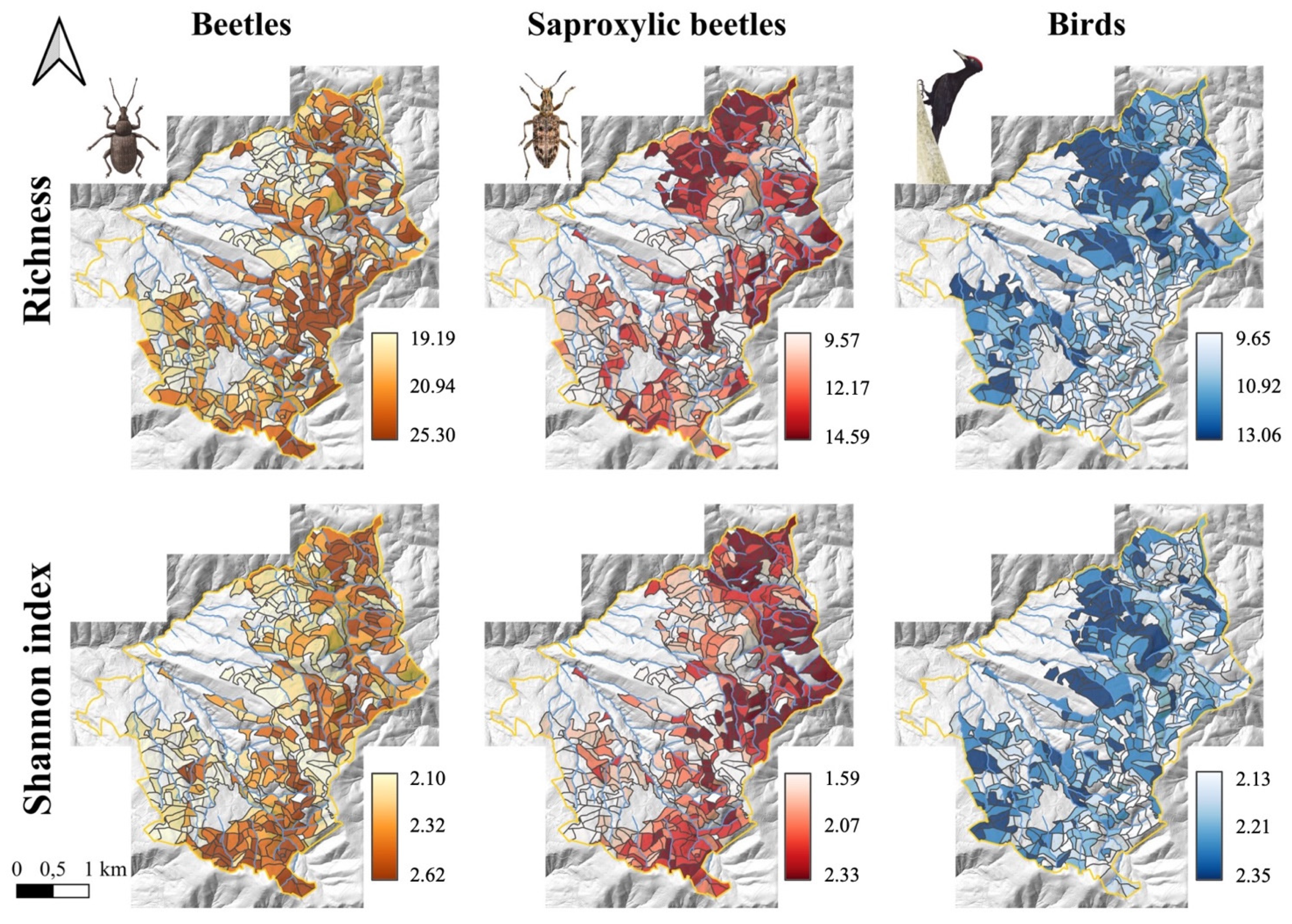 Forests 15 00660 g002