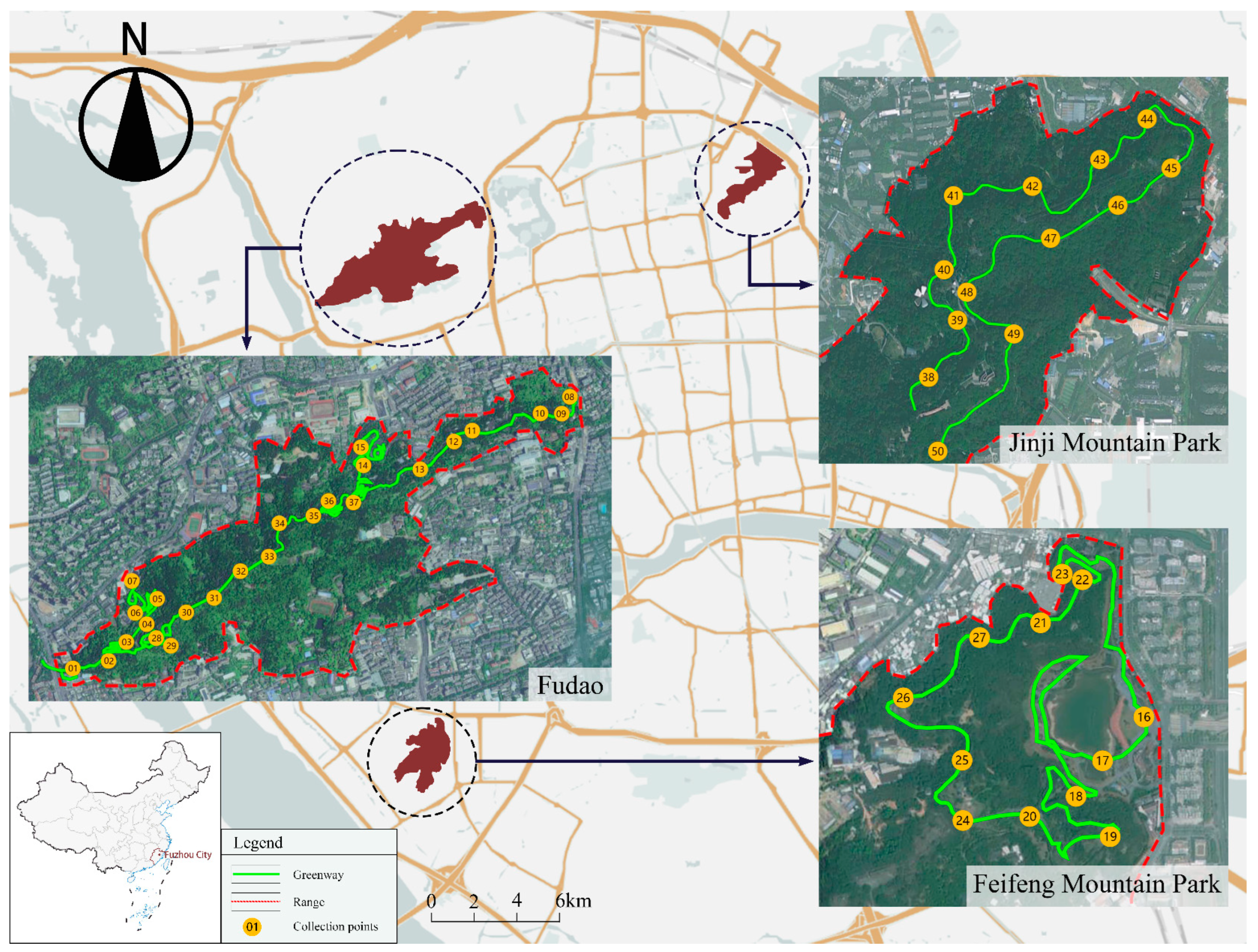 Forests 15 00670 g001