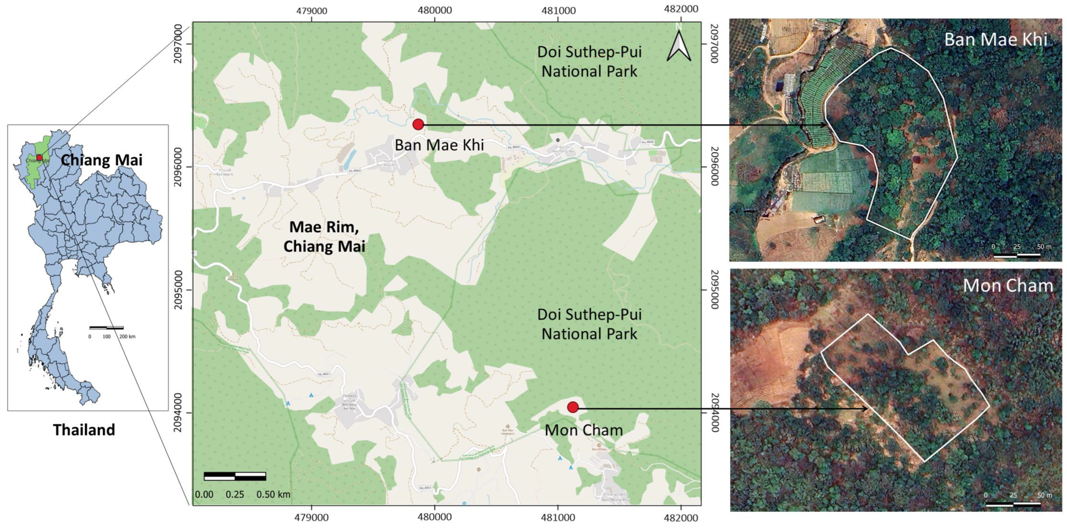 Forests 15 00674 g001