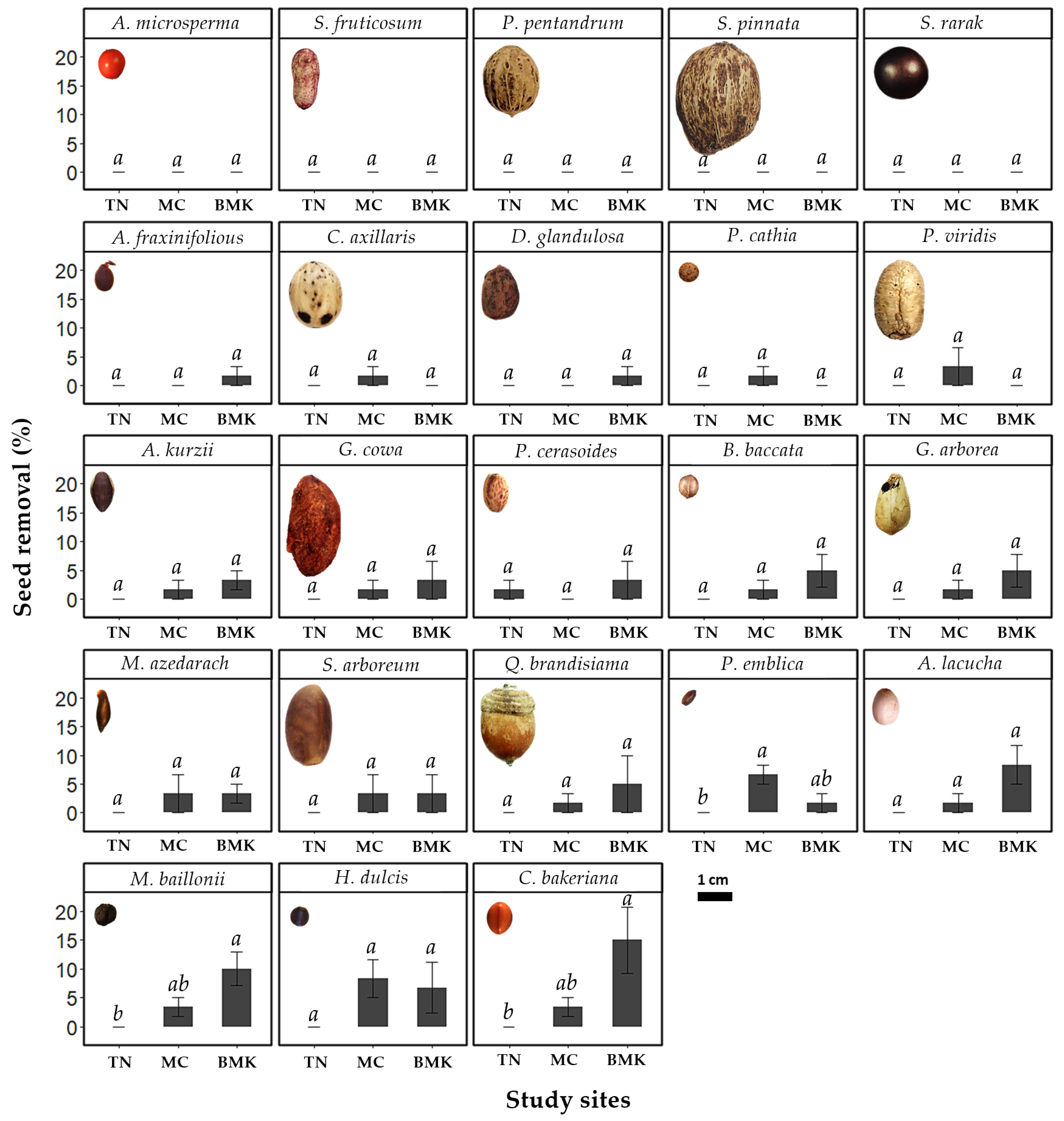 Forests 15 00674 g002