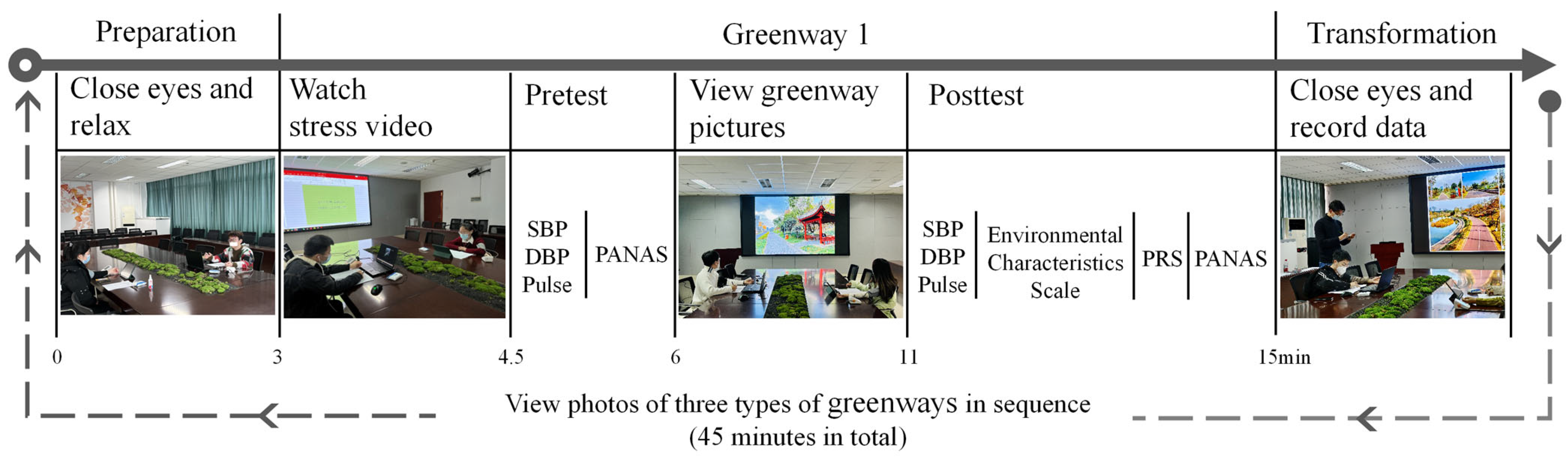 Forests 15 00679 g002