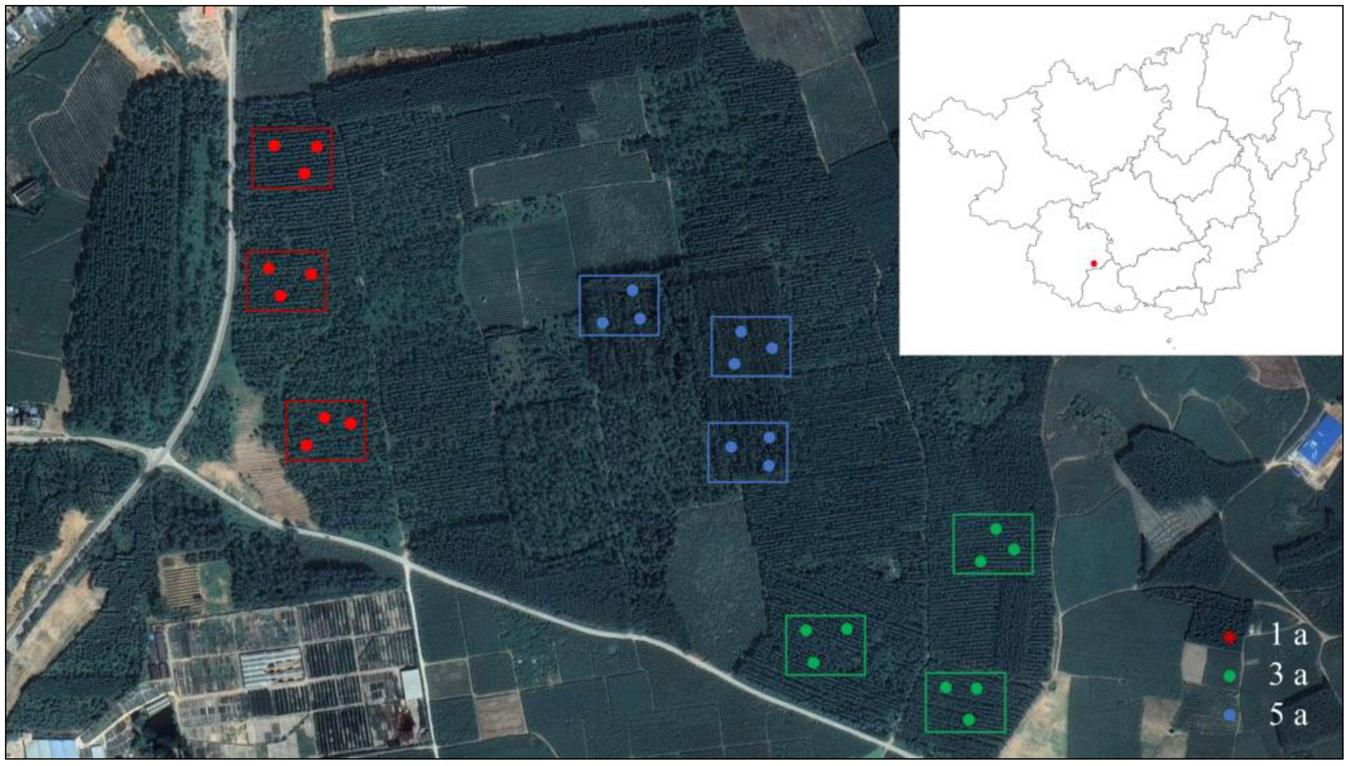 Forests 15 00688 g001