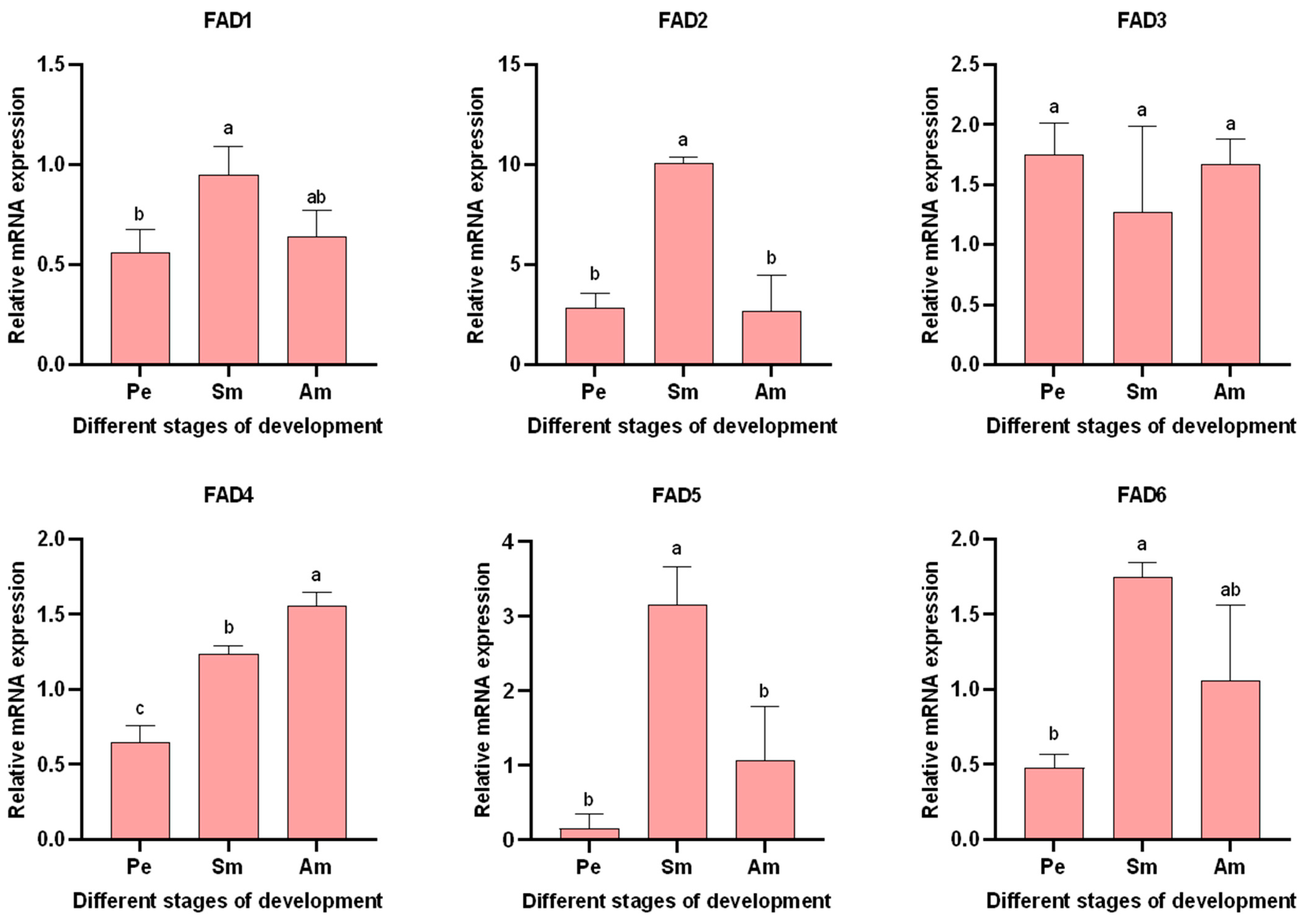 Forests 15 00690 g008