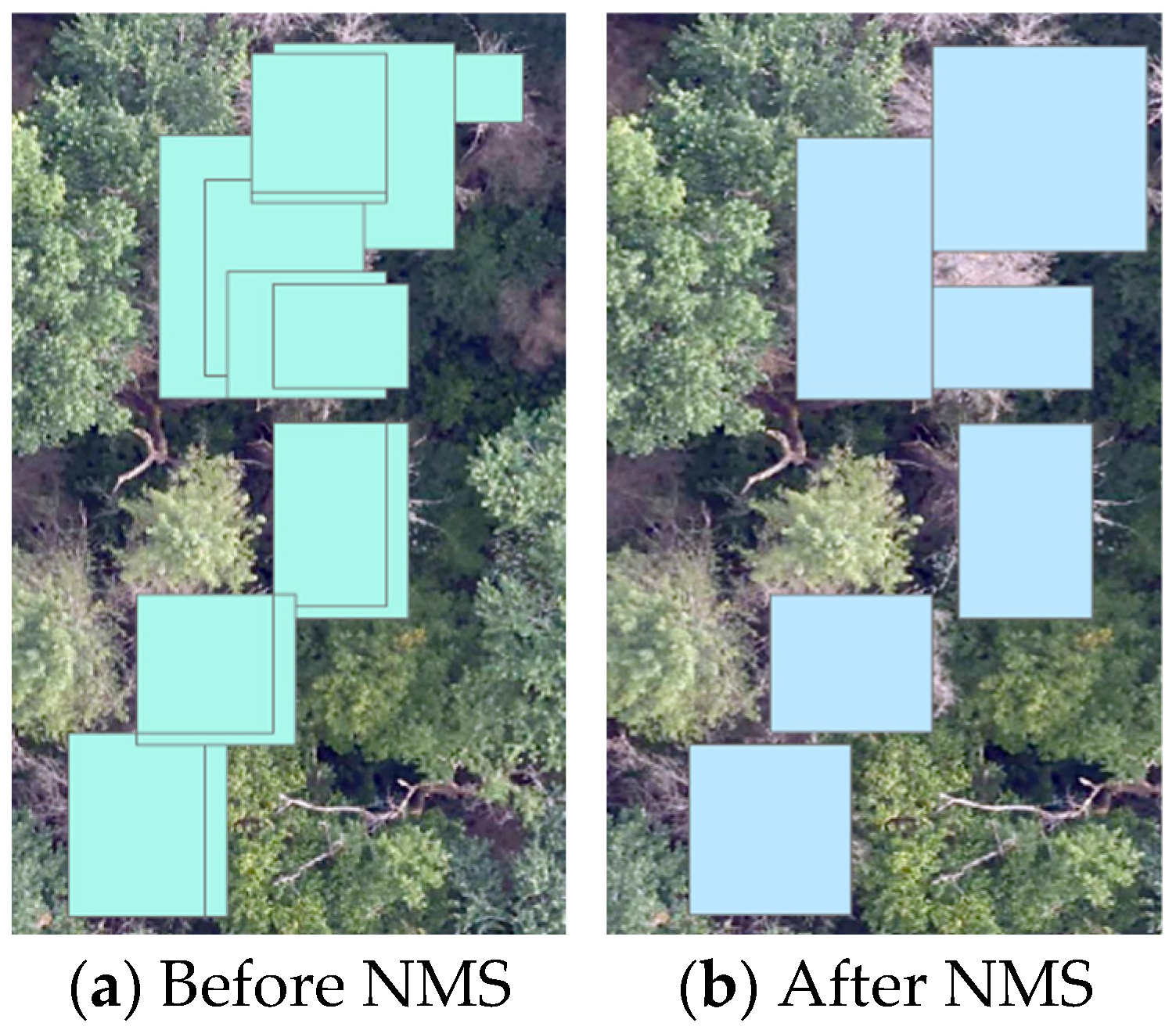 Forests 15 00691 g006
