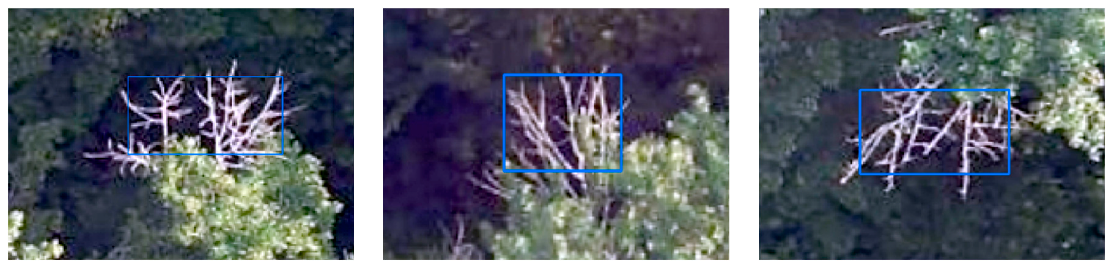 Forests 15 00691 g014