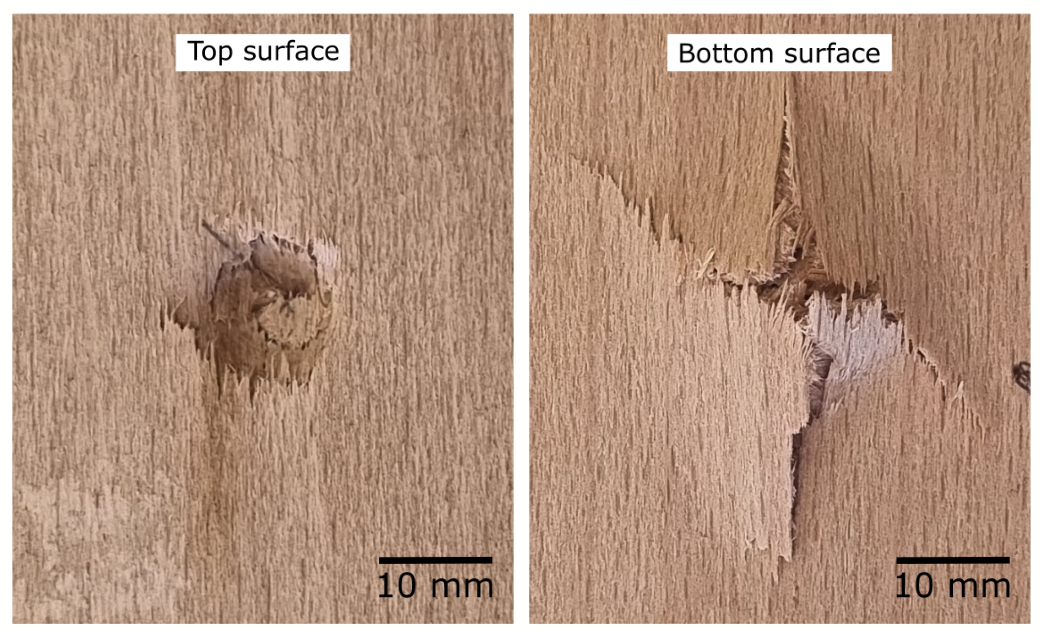 Forests 15 00694 g005
