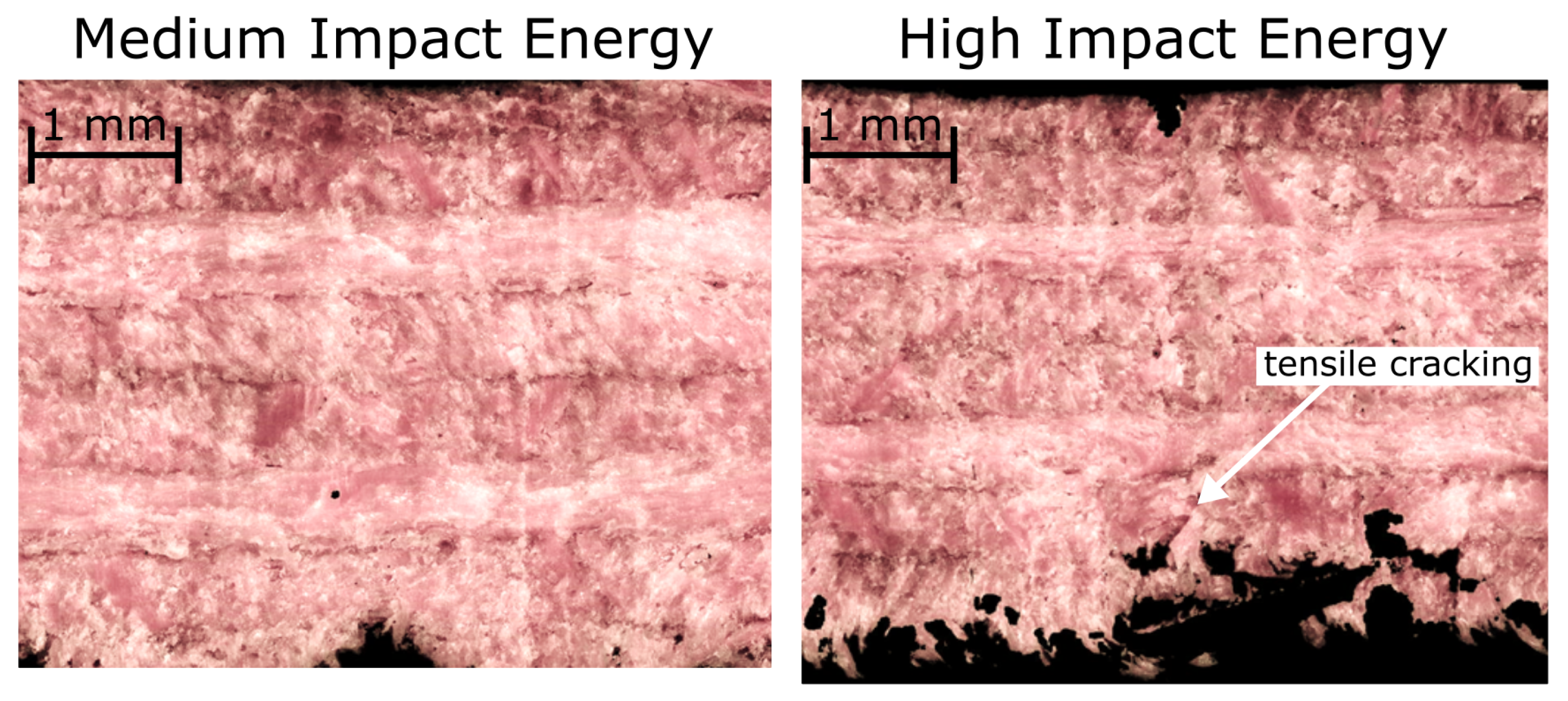 Forests 15 00694 g012