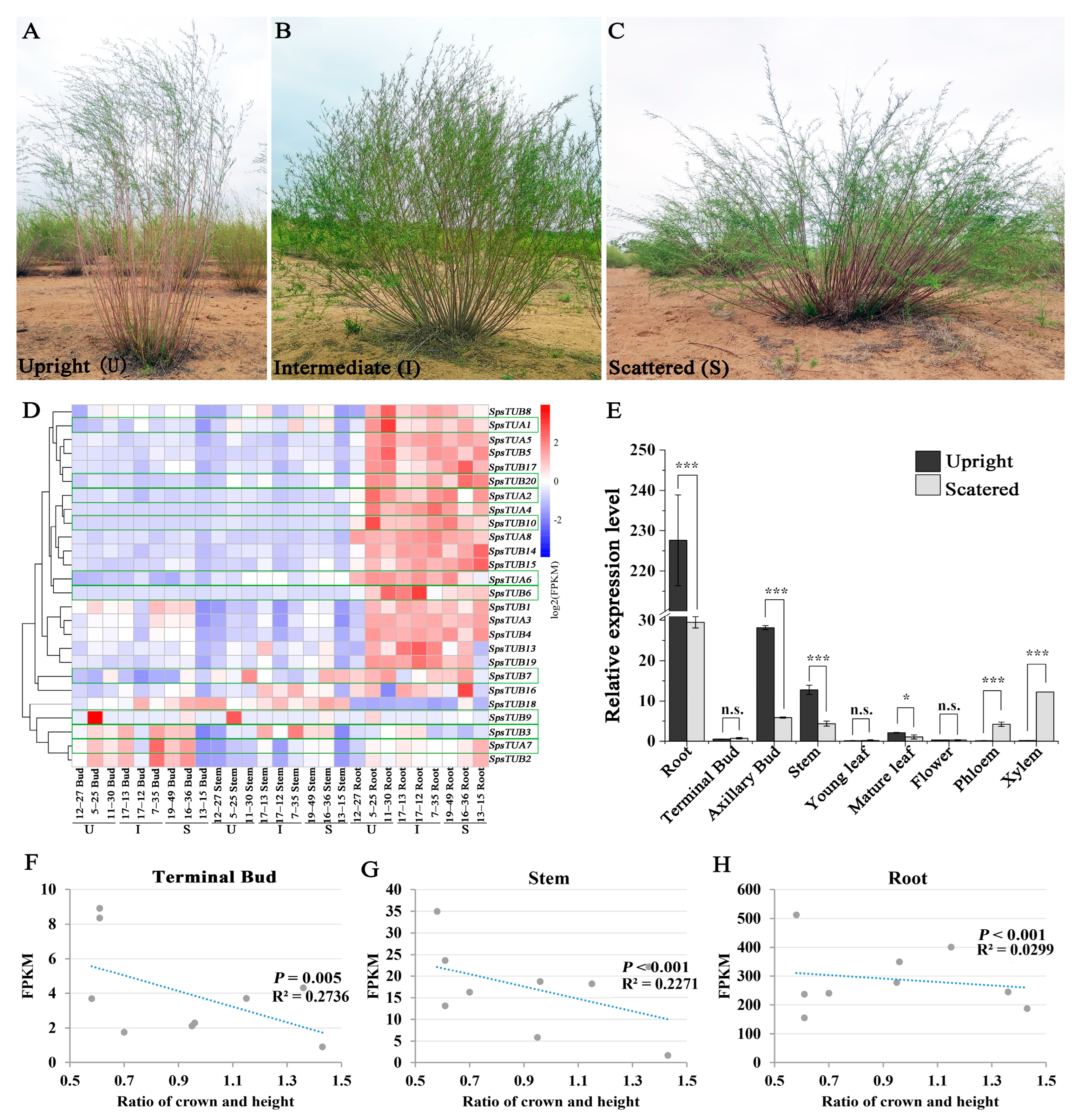 Forests 15 00696 g001 Forests 15 00696 g001