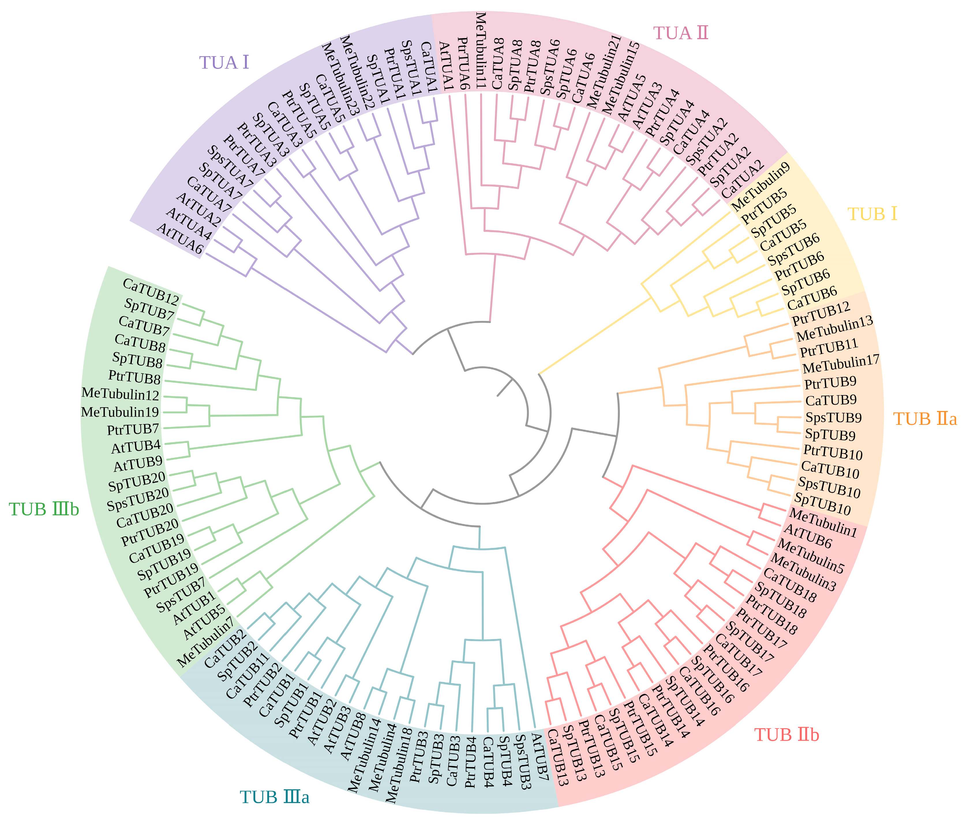 Forests 15 00696 g002 Forests 15 00696 g002