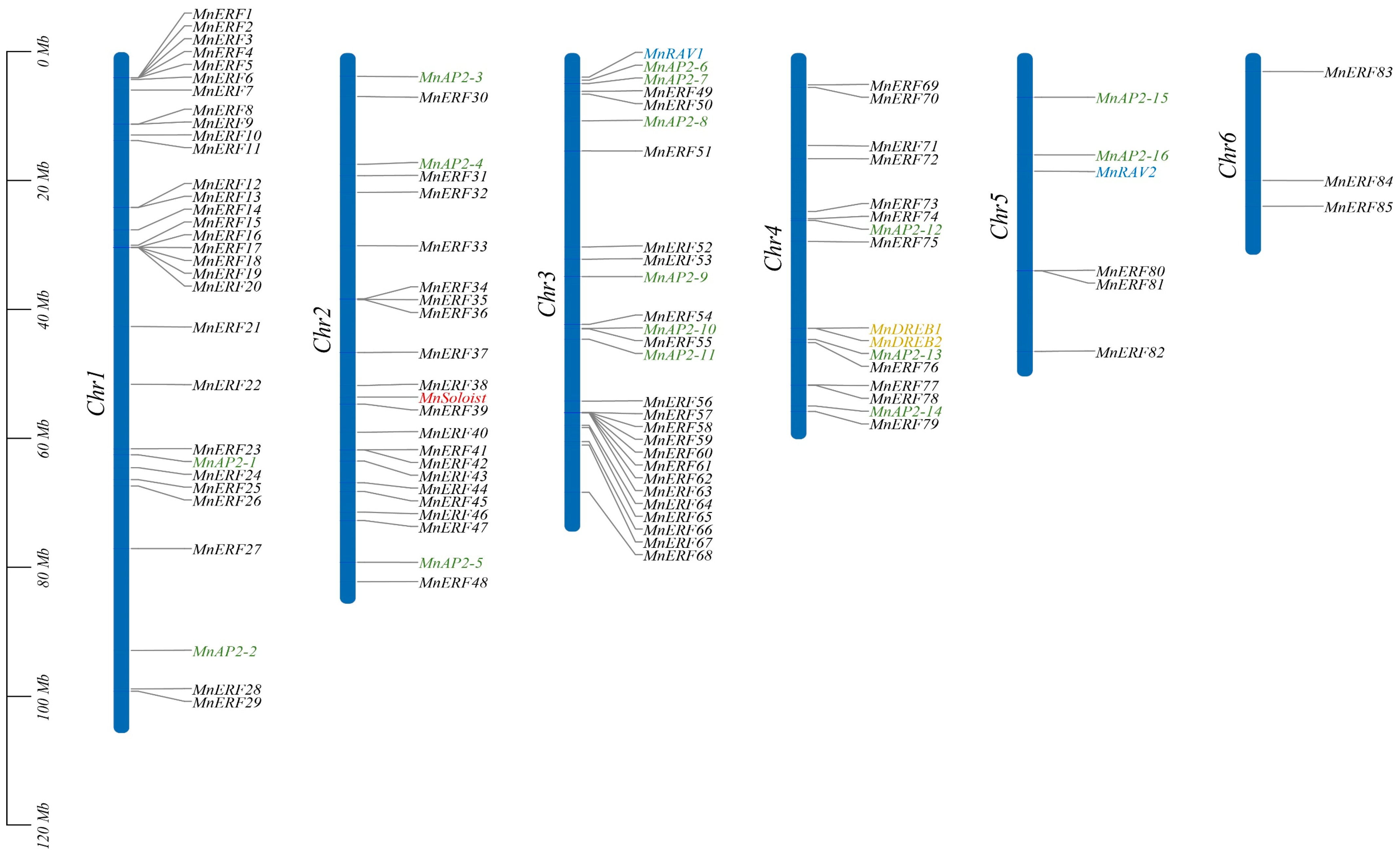 Forests 15 00697 g001