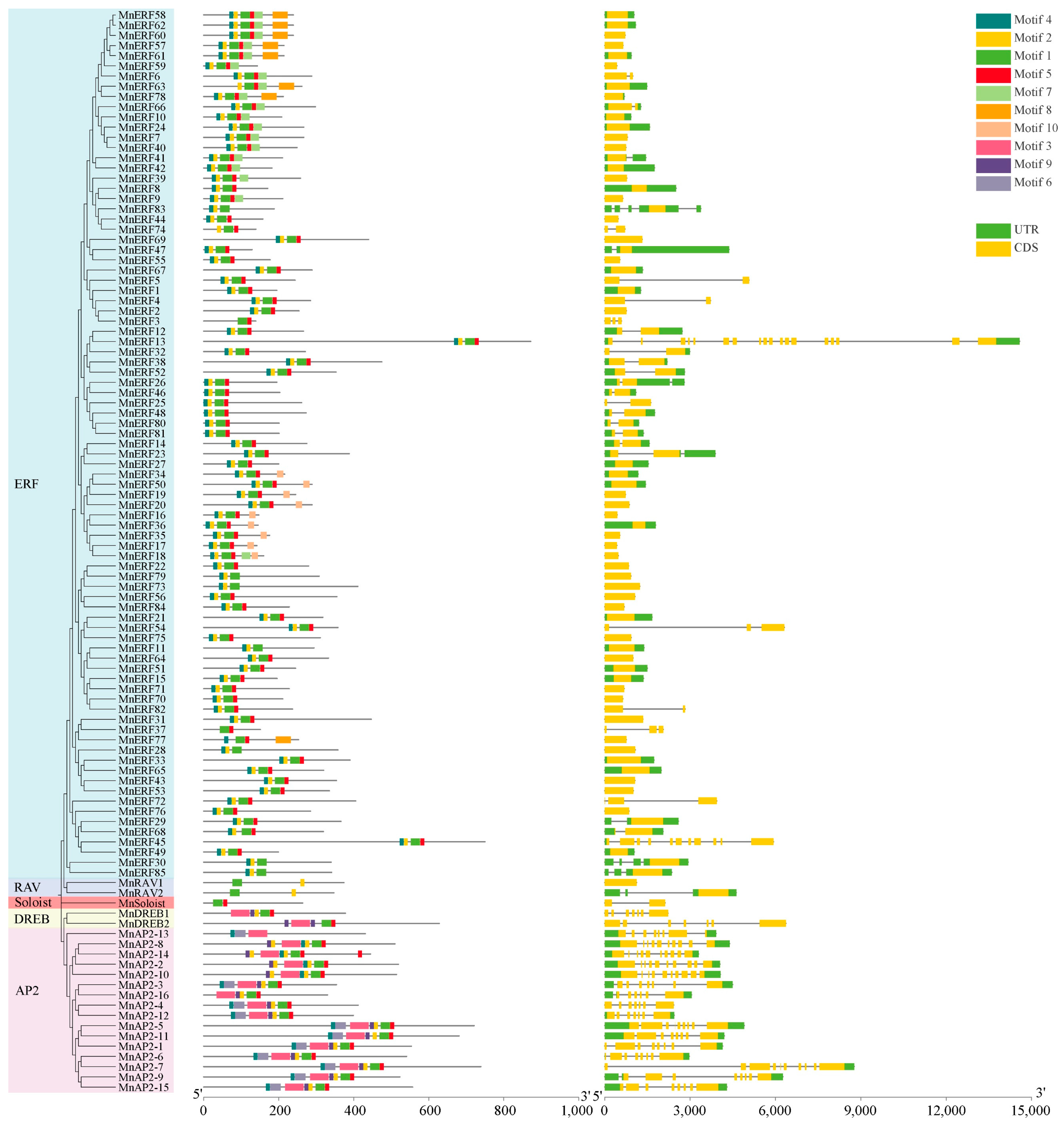Forests 15 00697 g003