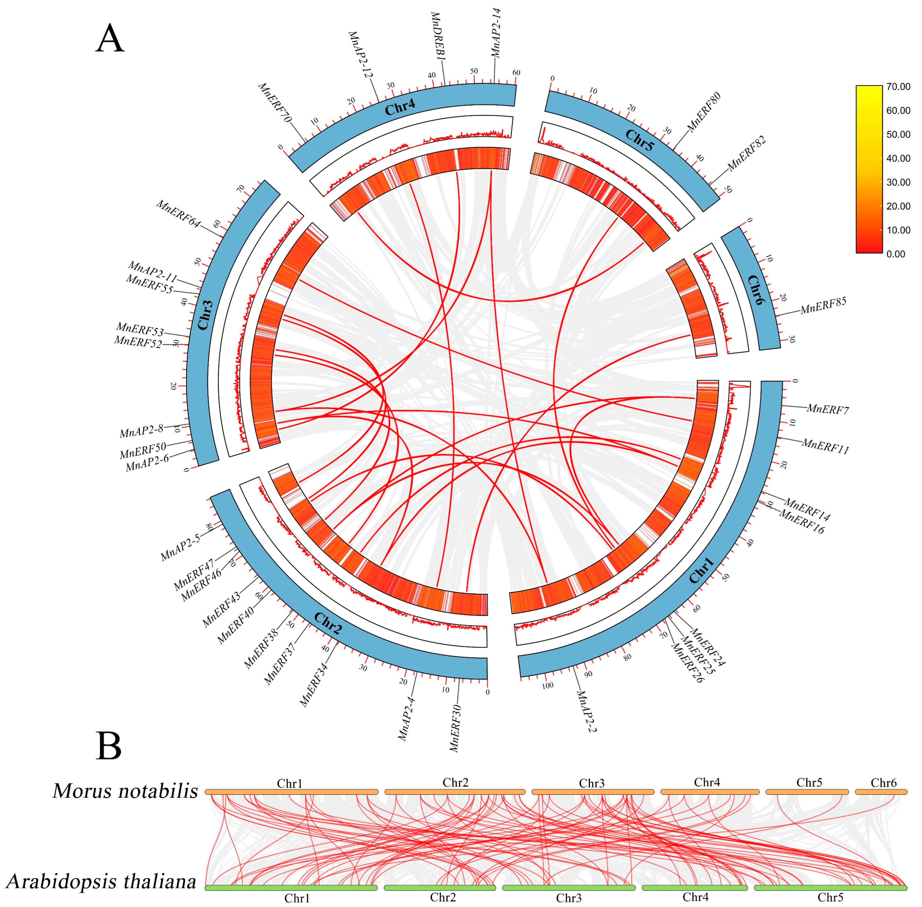 Forests 15 00697 g007