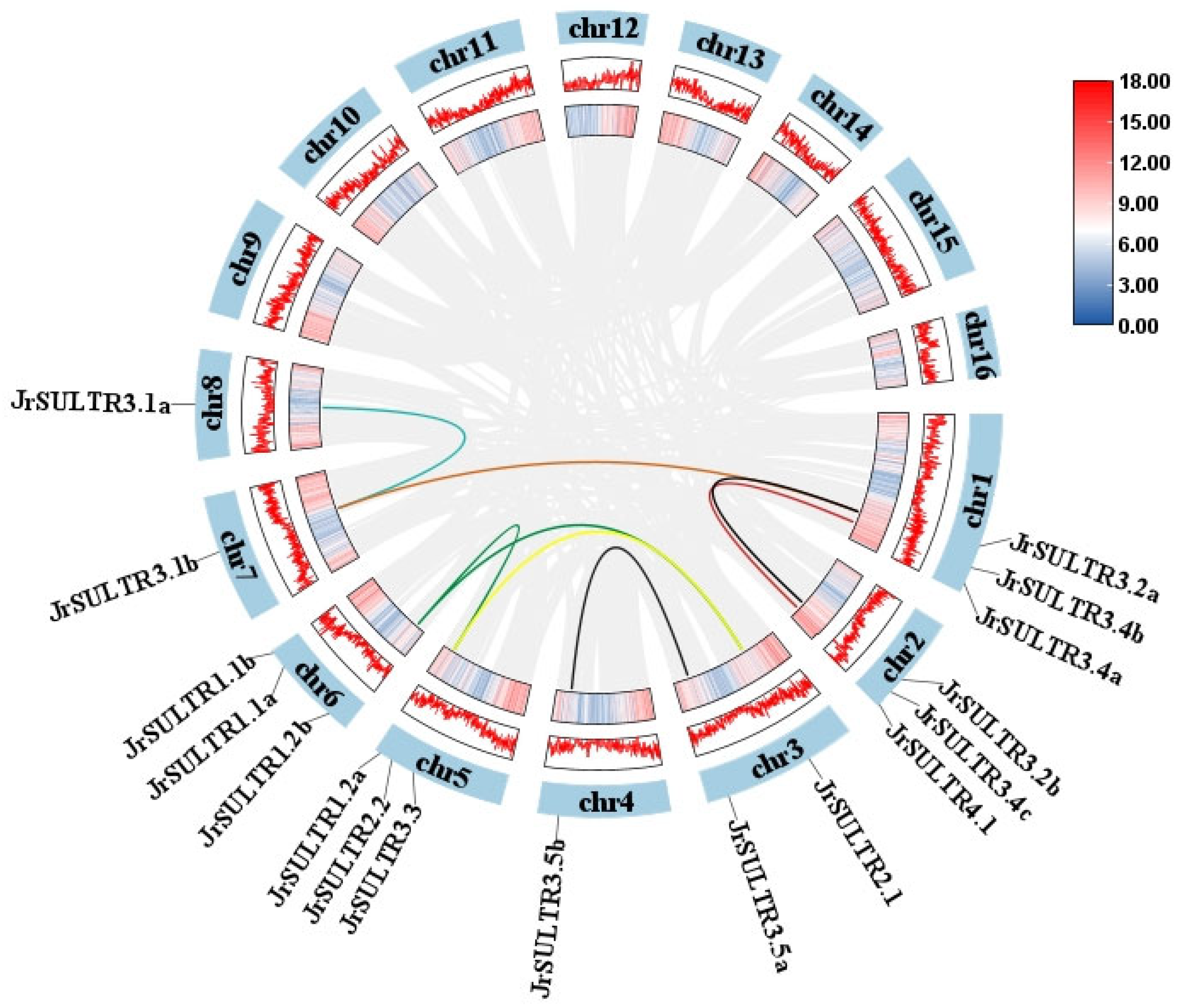 Forests 15 00702 g002