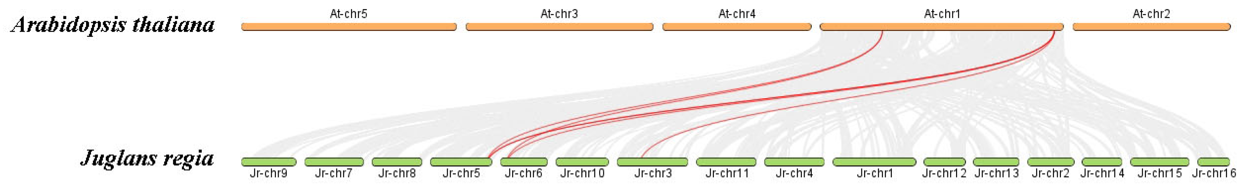 Forests 15 00702 g003