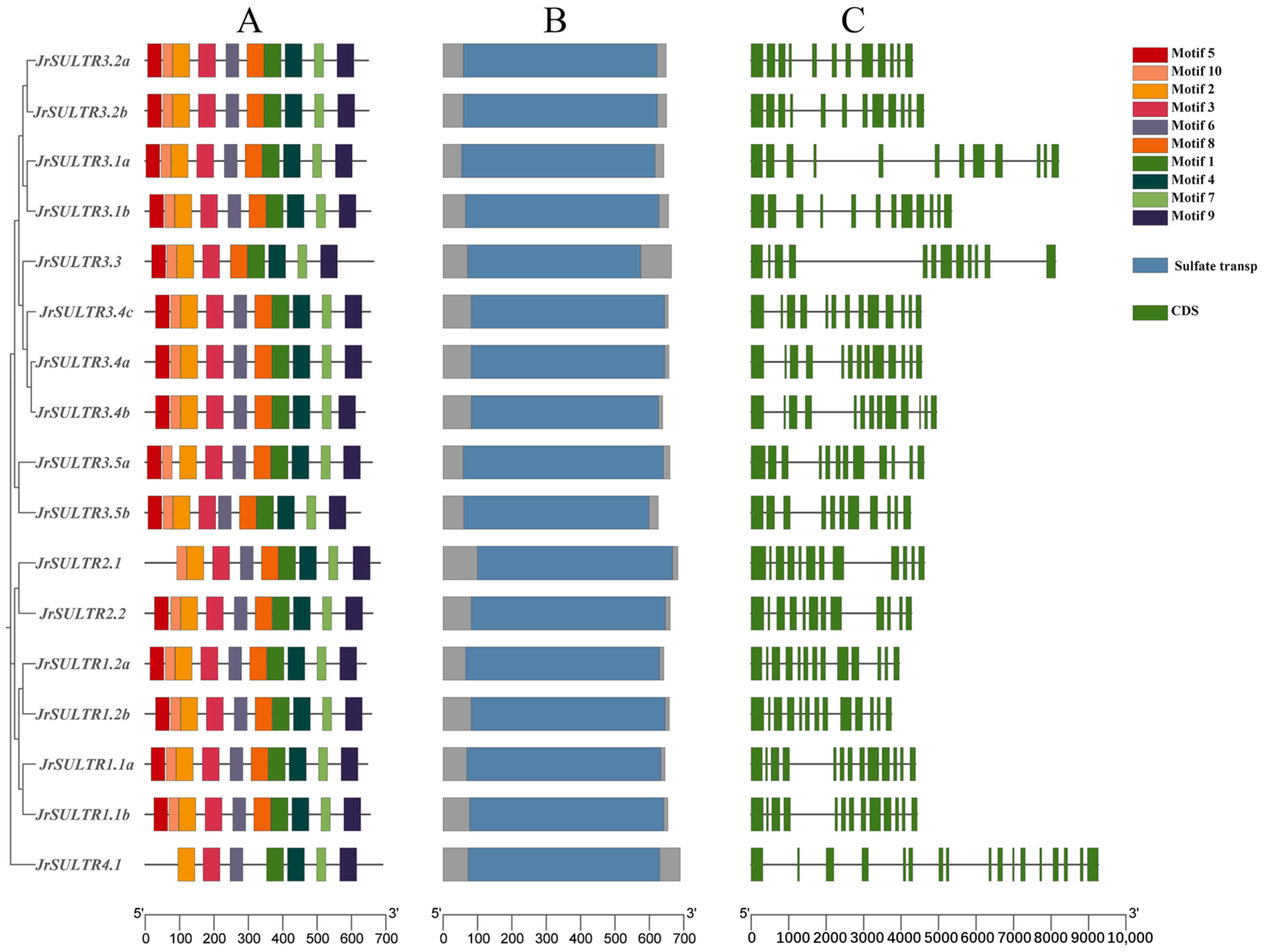 Forests 15 00702 g004