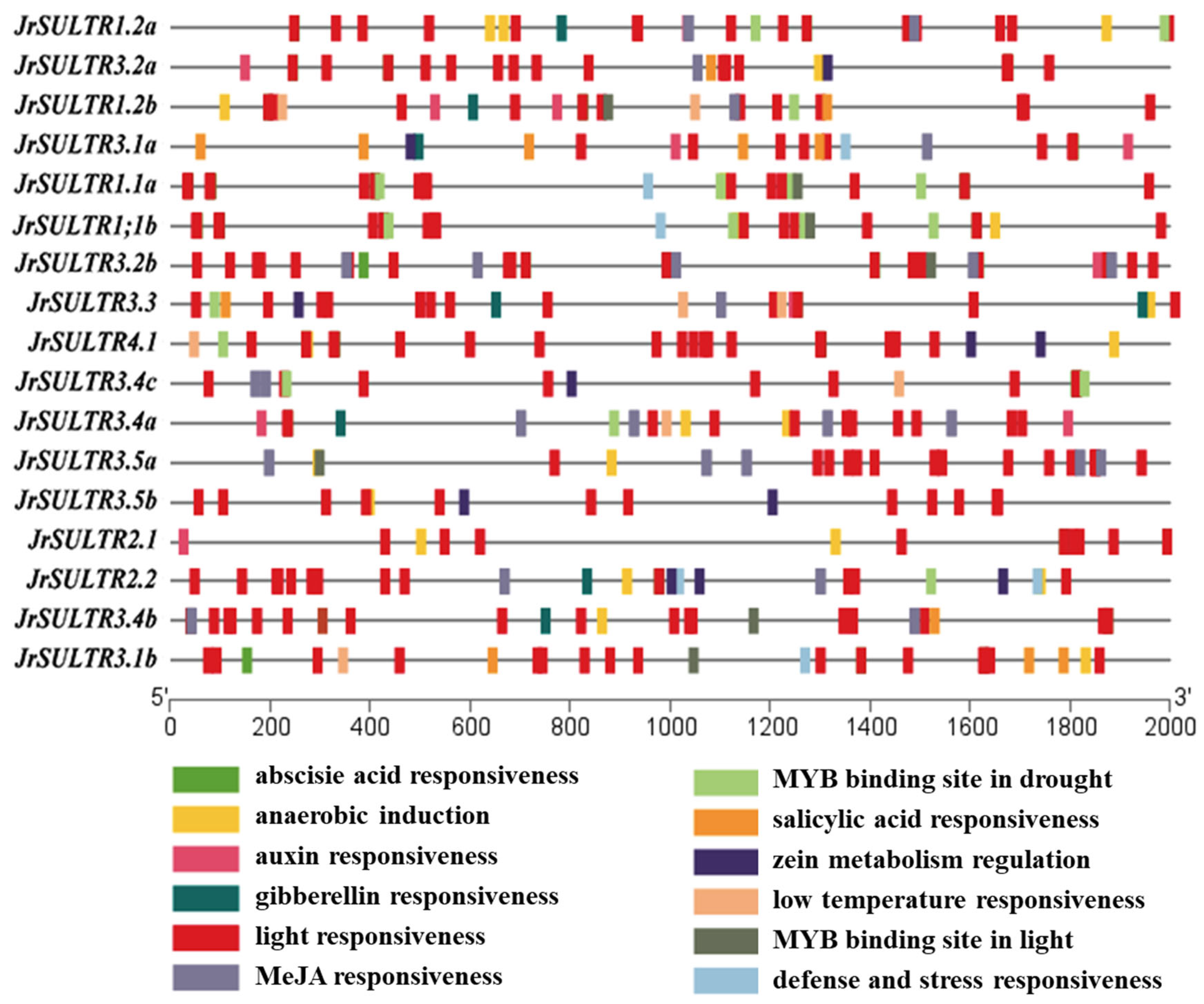 Forests 15 00702 g005