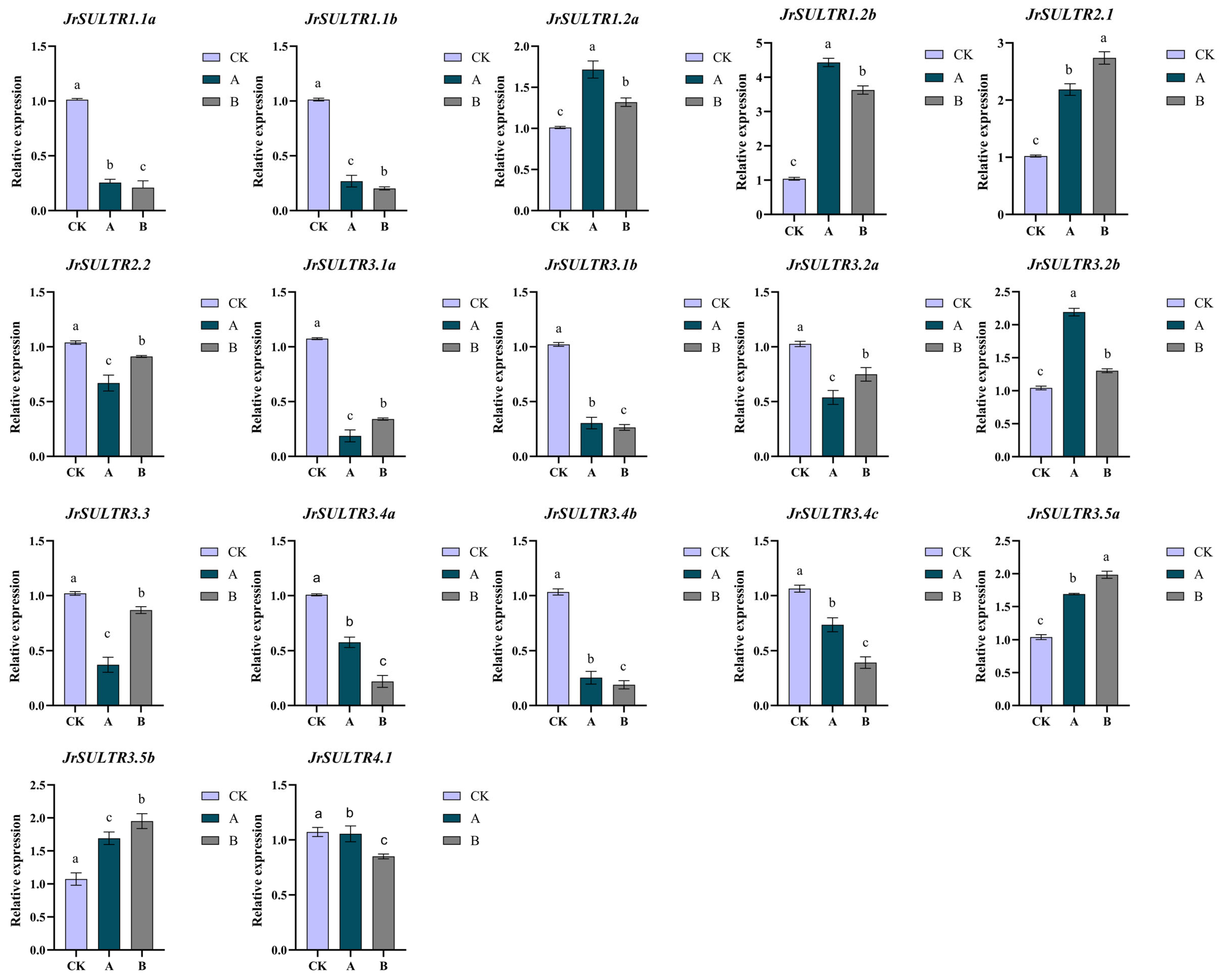 Forests 15 00702 g007
