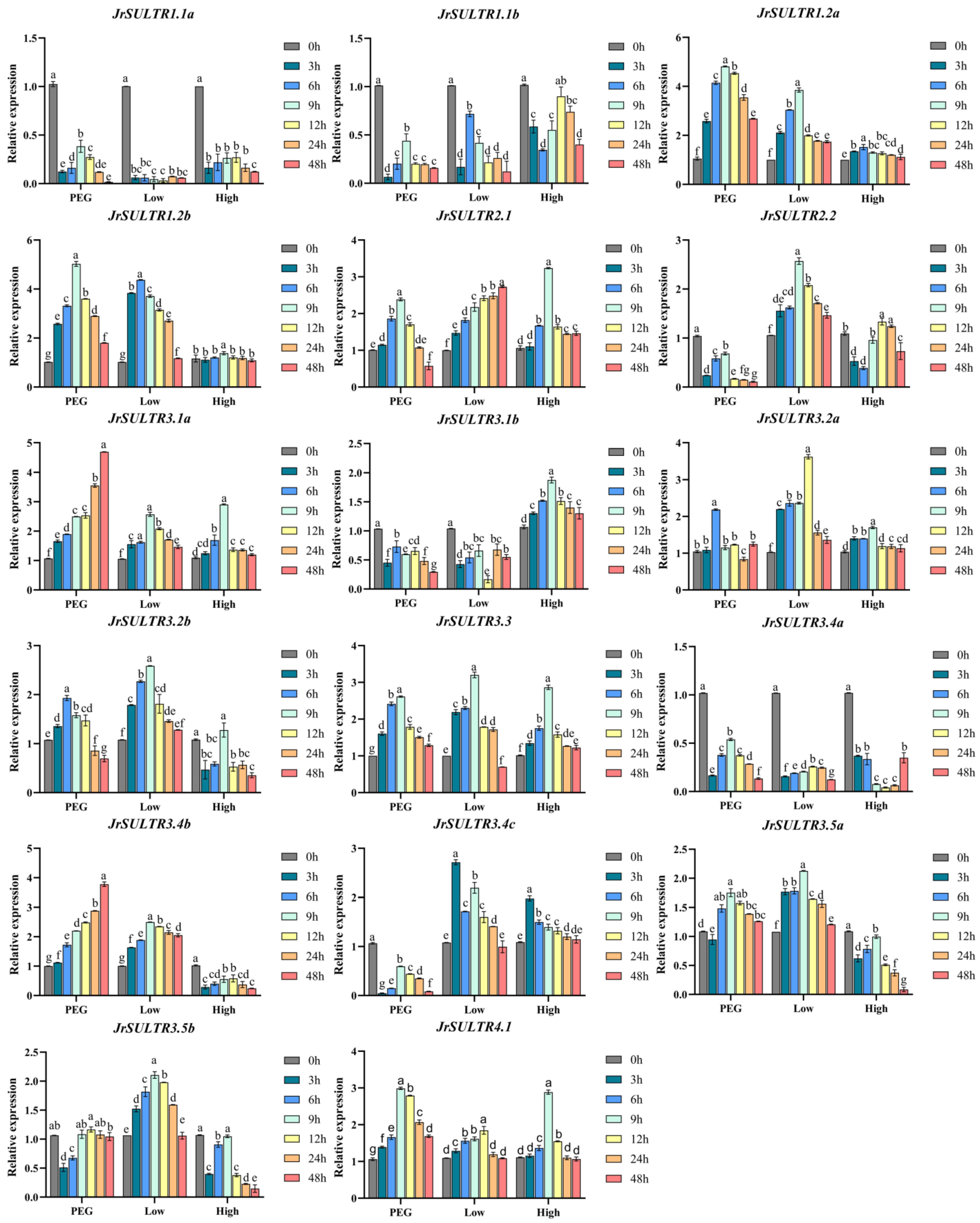 Forests 15 00702 g008