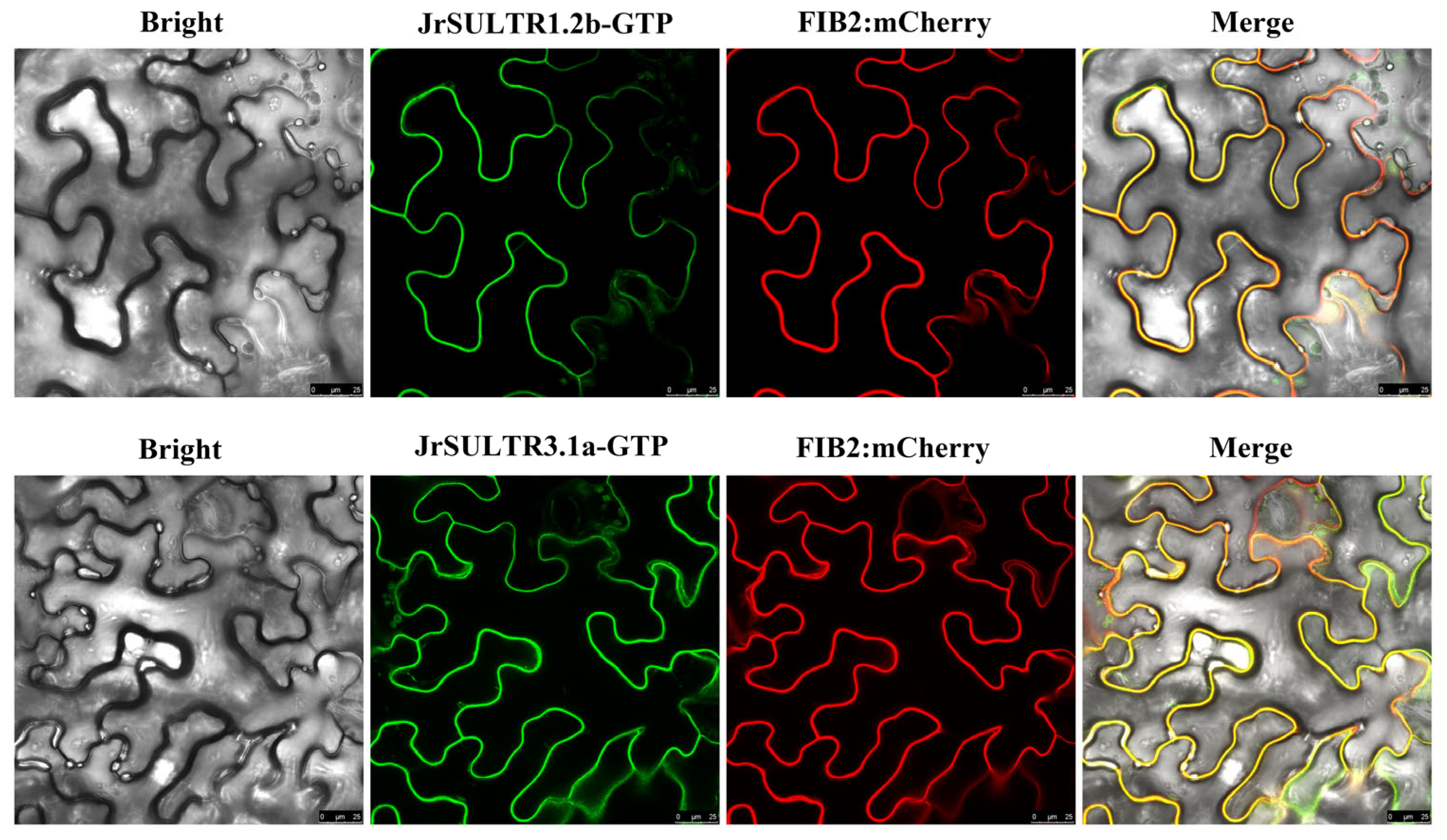 Forests 15 00702 g009